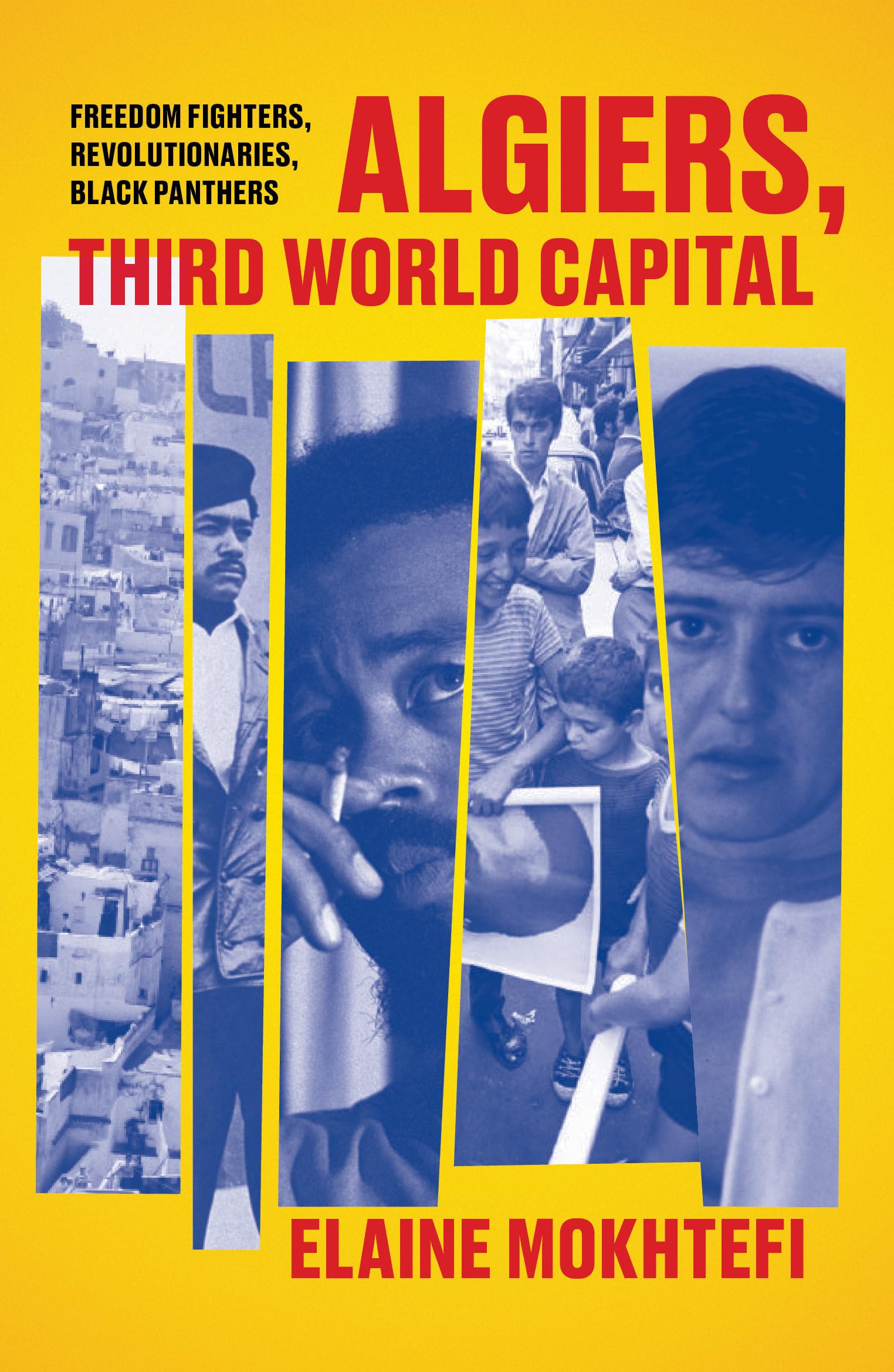 Algiers, Third World Capital: Freedom Fighters, Revolutionaries, Black Panthers Books