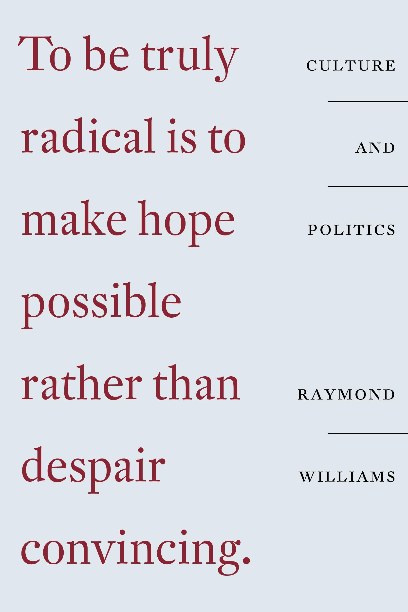 Culture and Politics Philosophy
