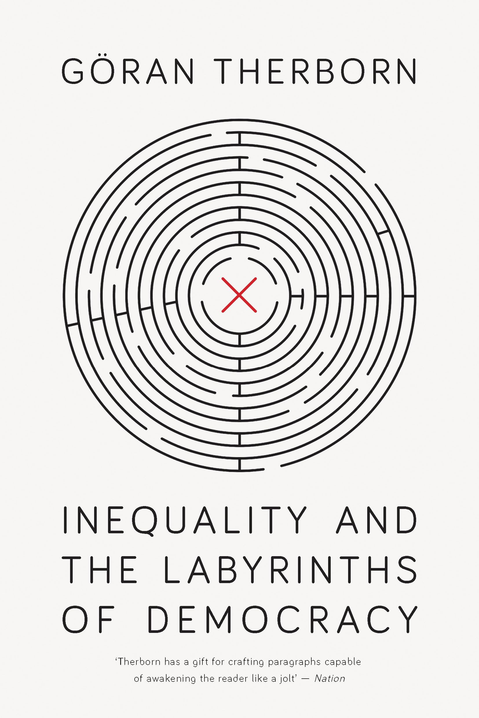 Inequality and the Labyrinths of Democracy Law