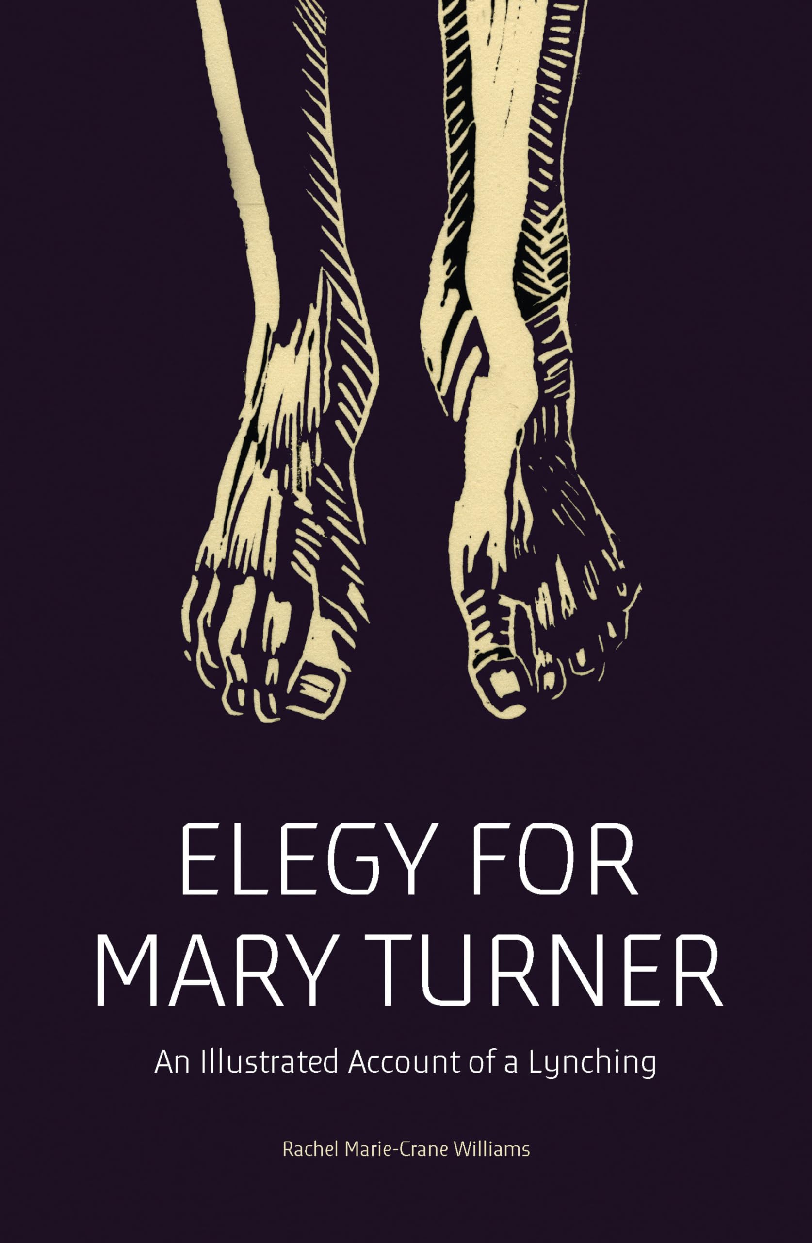 Elegy for Mary Turner: An Illustrated Account of a Lynching Social Sciences