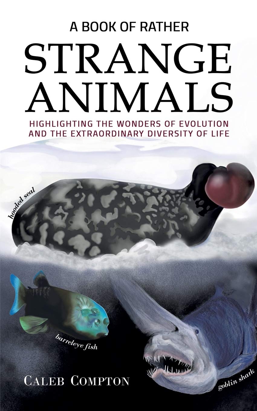 A Book of Rather Strange Animals Second-hand books on film, art and culture