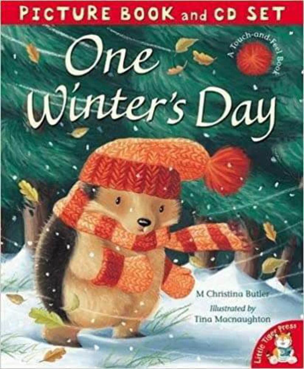 M Christina Butler : ONE WINTERS DAY BOOK & CD SET Books