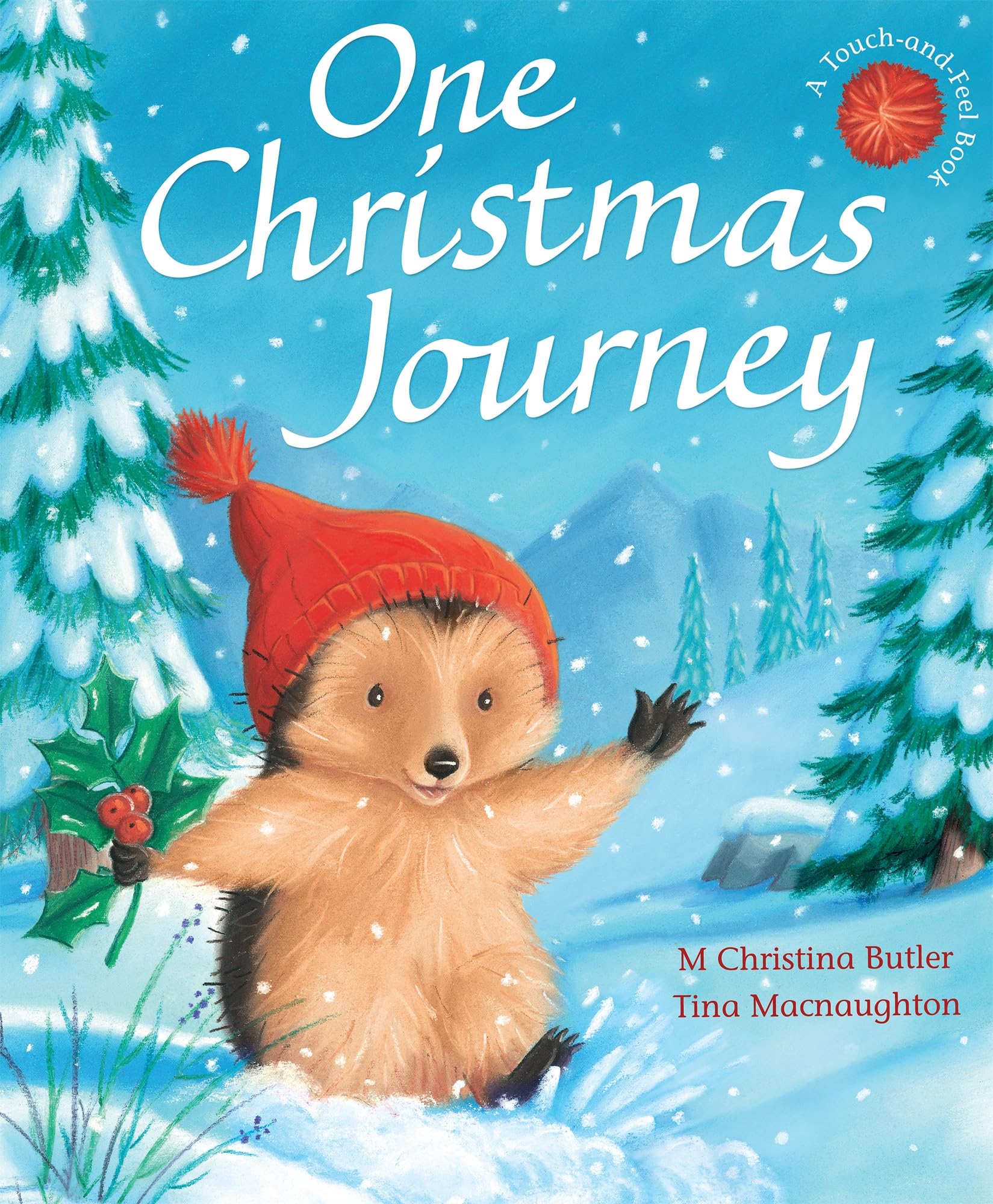 One Christmas Journey: 13 (Little Hedgehog, 13) book