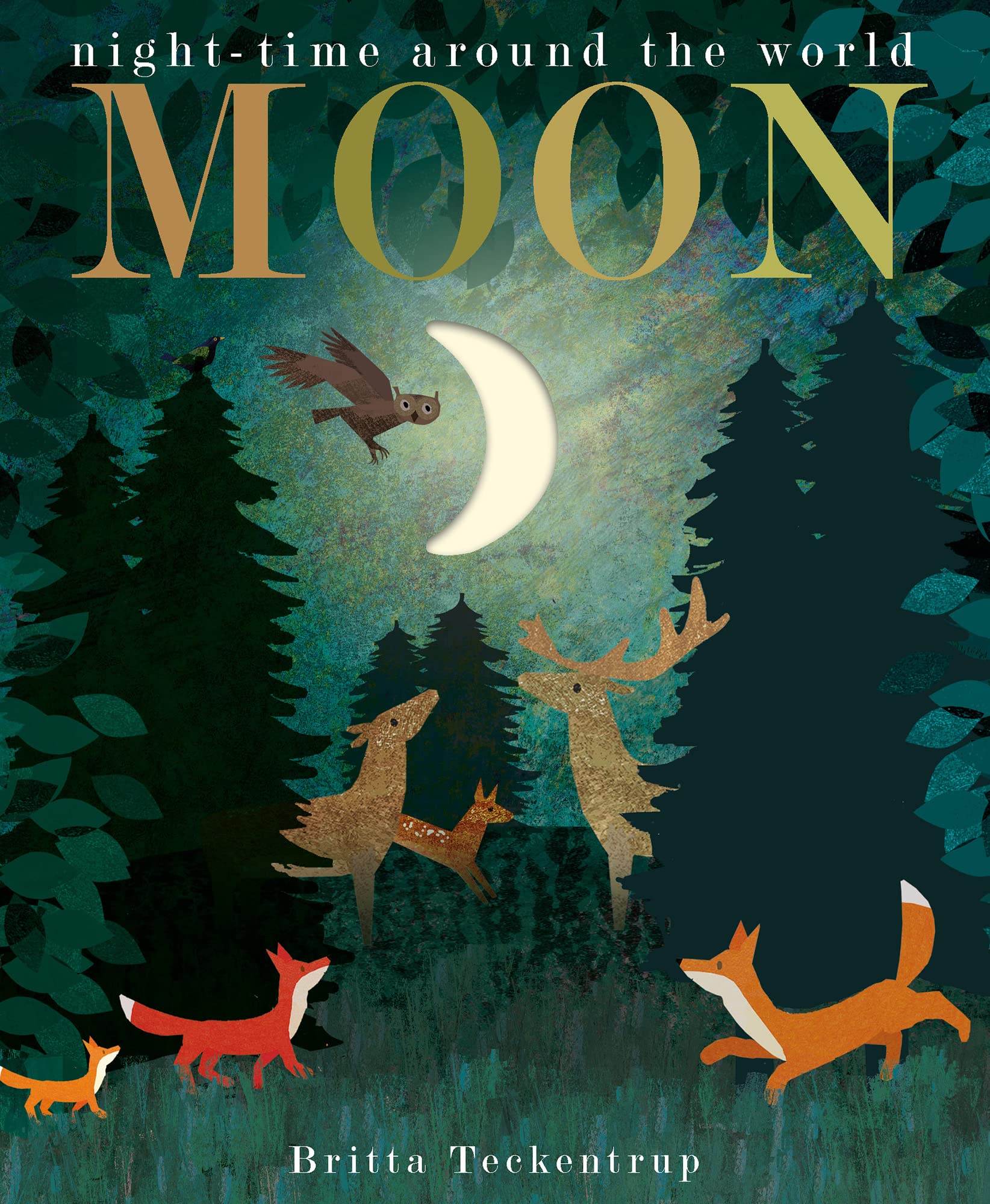 Moon: night-time around the world (Peek-through Nature) Novels & Short Stories