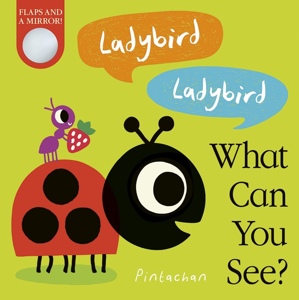 Ladybird! Ladybird! What Can You See?: 3 Novels & Short Stories
