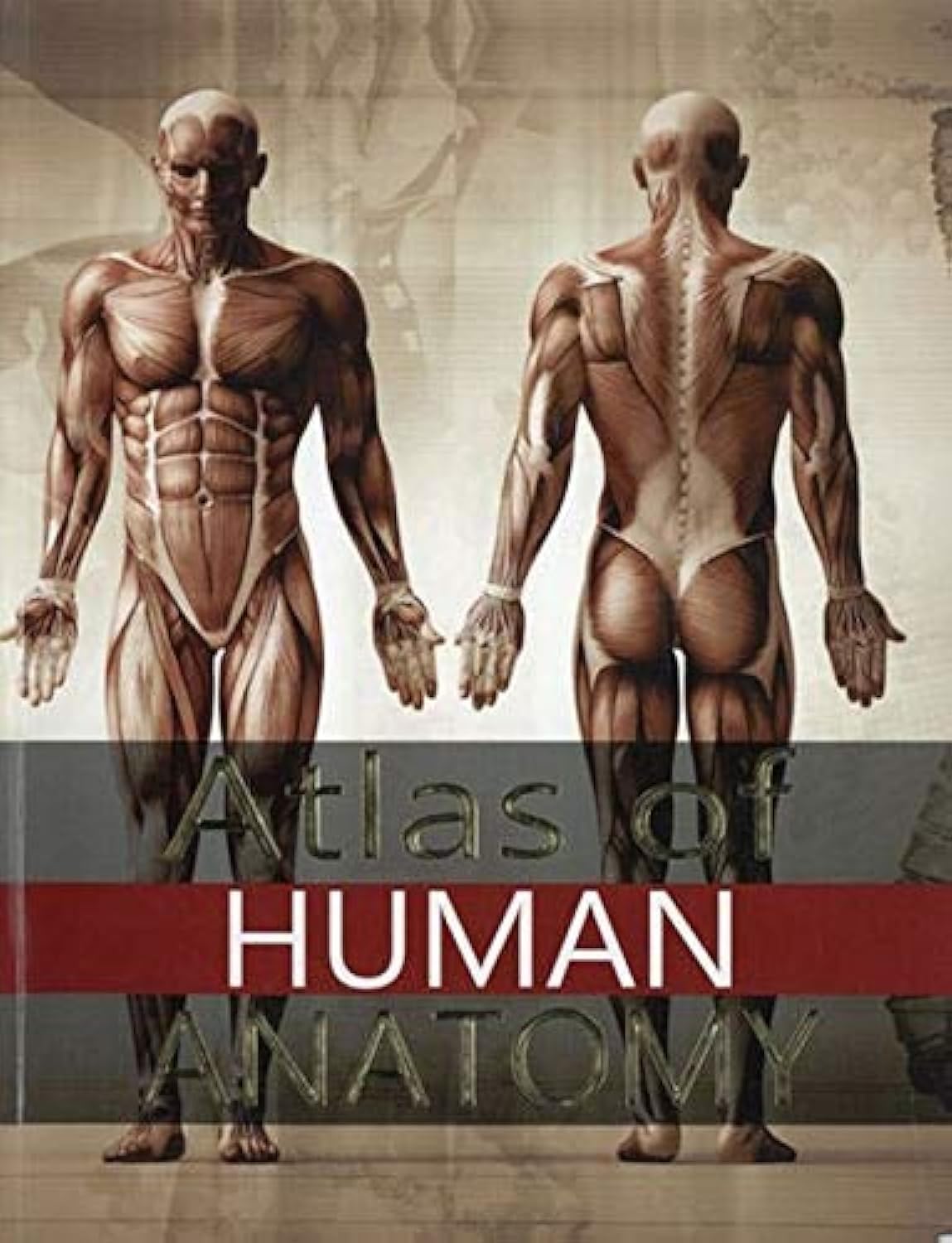 Atlas of Human Anatomy Medicine