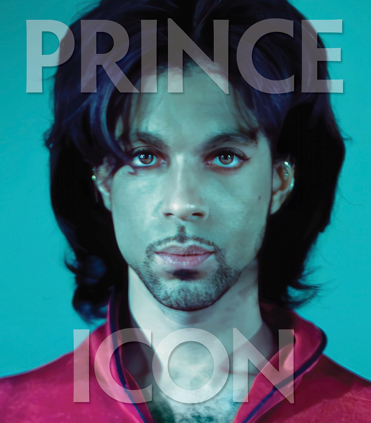 Prince: Icon: The Definitive Photographic Collection (Icons) Art & Literature