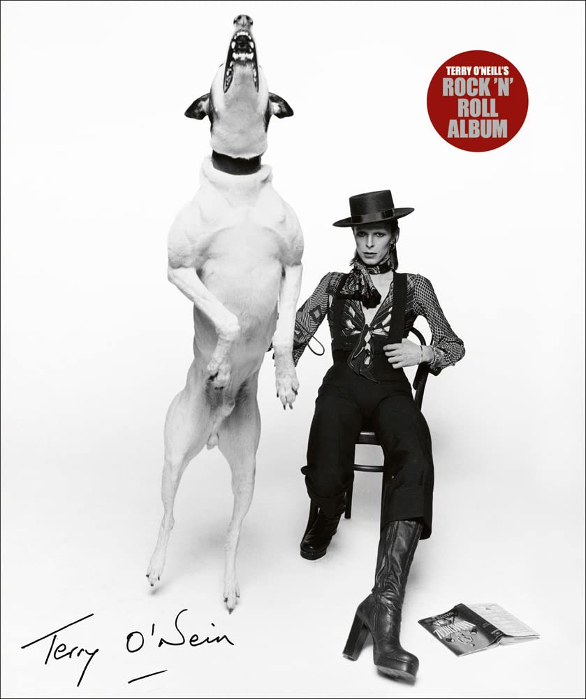 Terry O'Neill's Rock 'n' Roll Album: The A-Z of Rock 'N' Roll Photography