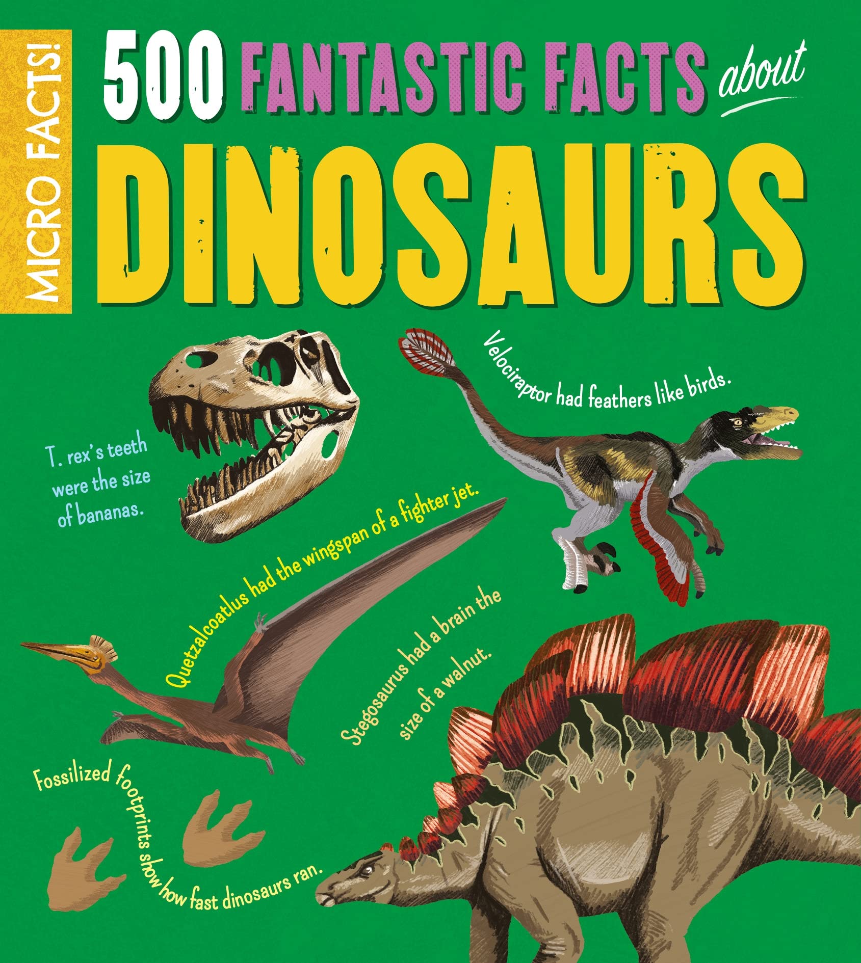 Micro Facts!: 500 Fantastic Facts About Dinosaurs Non-fiction