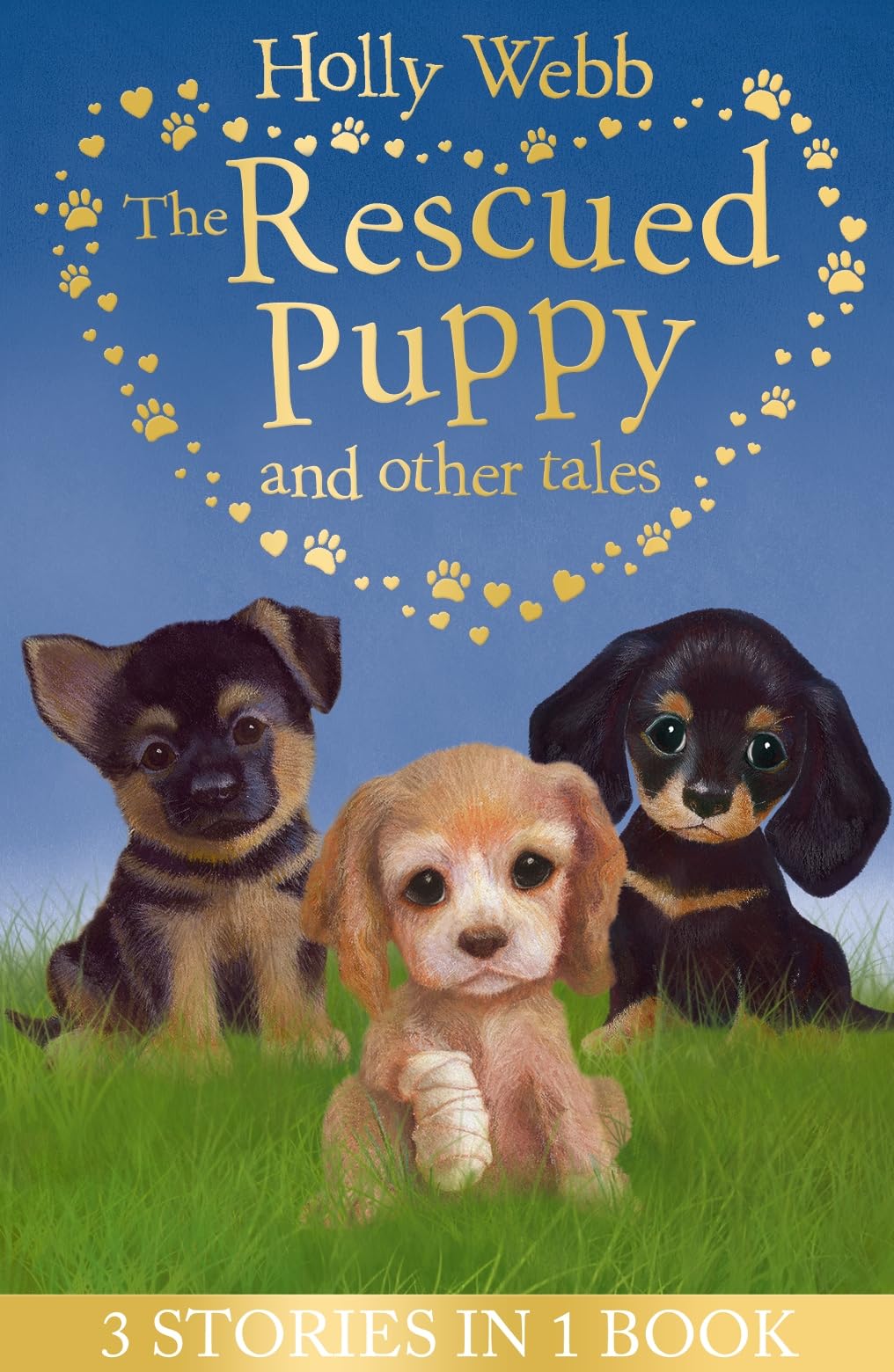 The Rescued Puppy and Other Tales: The Rescued Puppy, The Lost Puppy, The Secret Puppy book