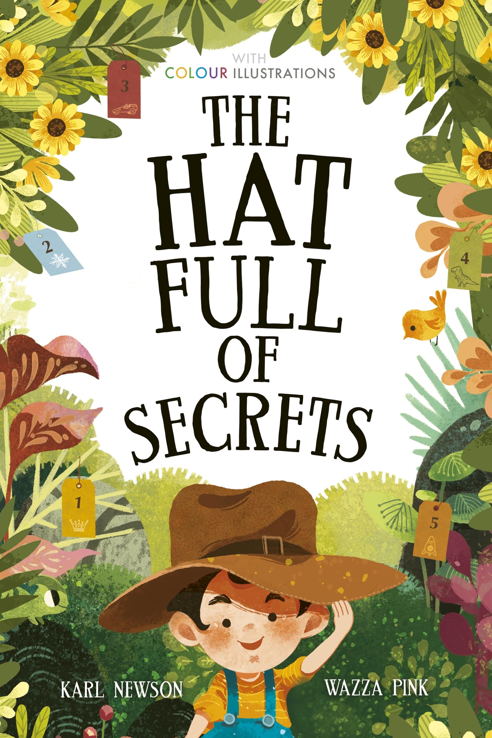 The Hat Full of Secrets (Colour Fiction) book