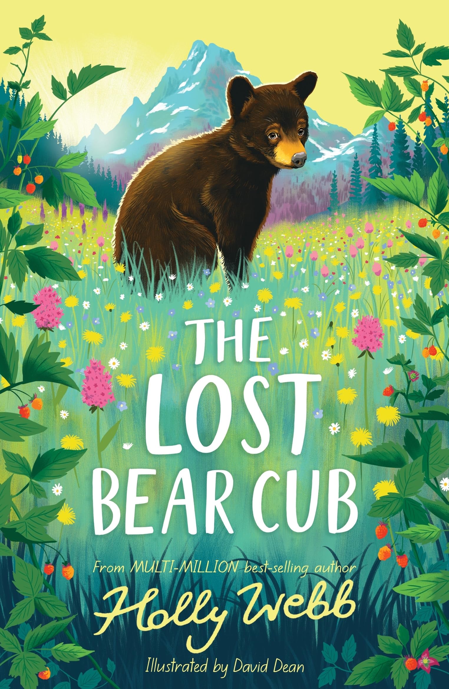 The Lost Bear Cub (Summer Wildlife Stories) Parents & Children