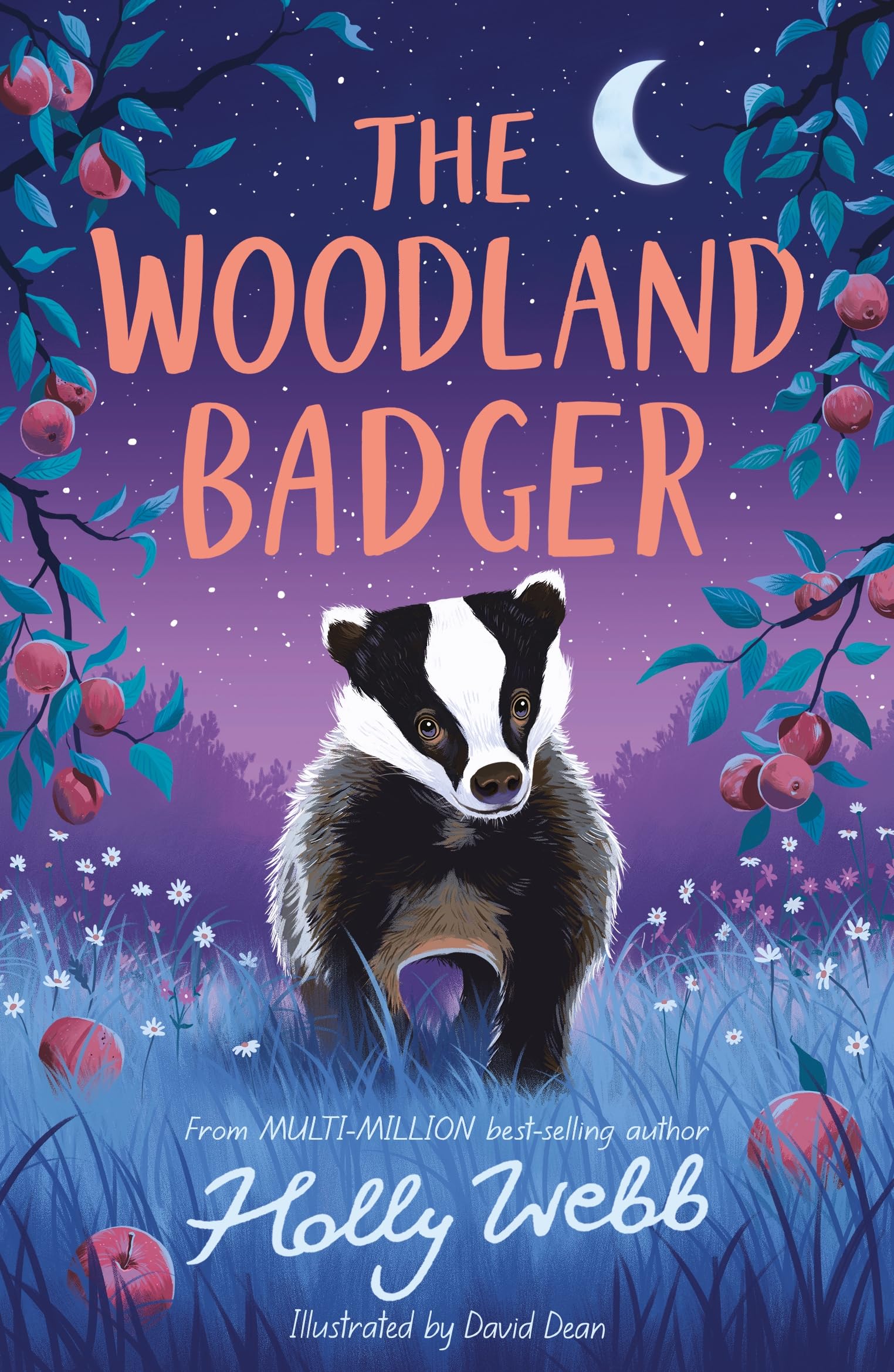The Woodland Badger (Summer Wildlife Stories) Novels & Short Stories