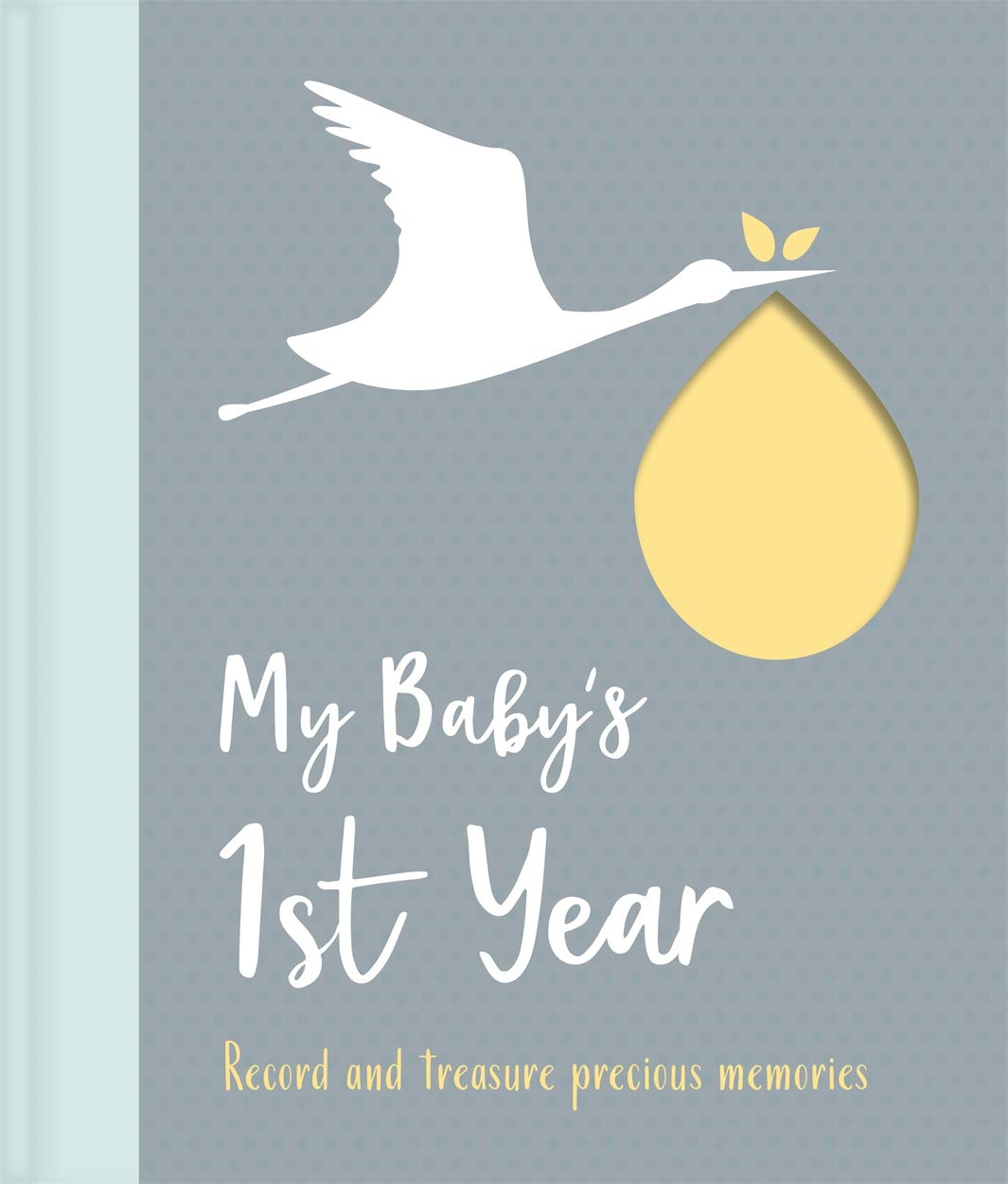 My Baby's 1st Year (My Baby's Love) Leisure, Home & Garden