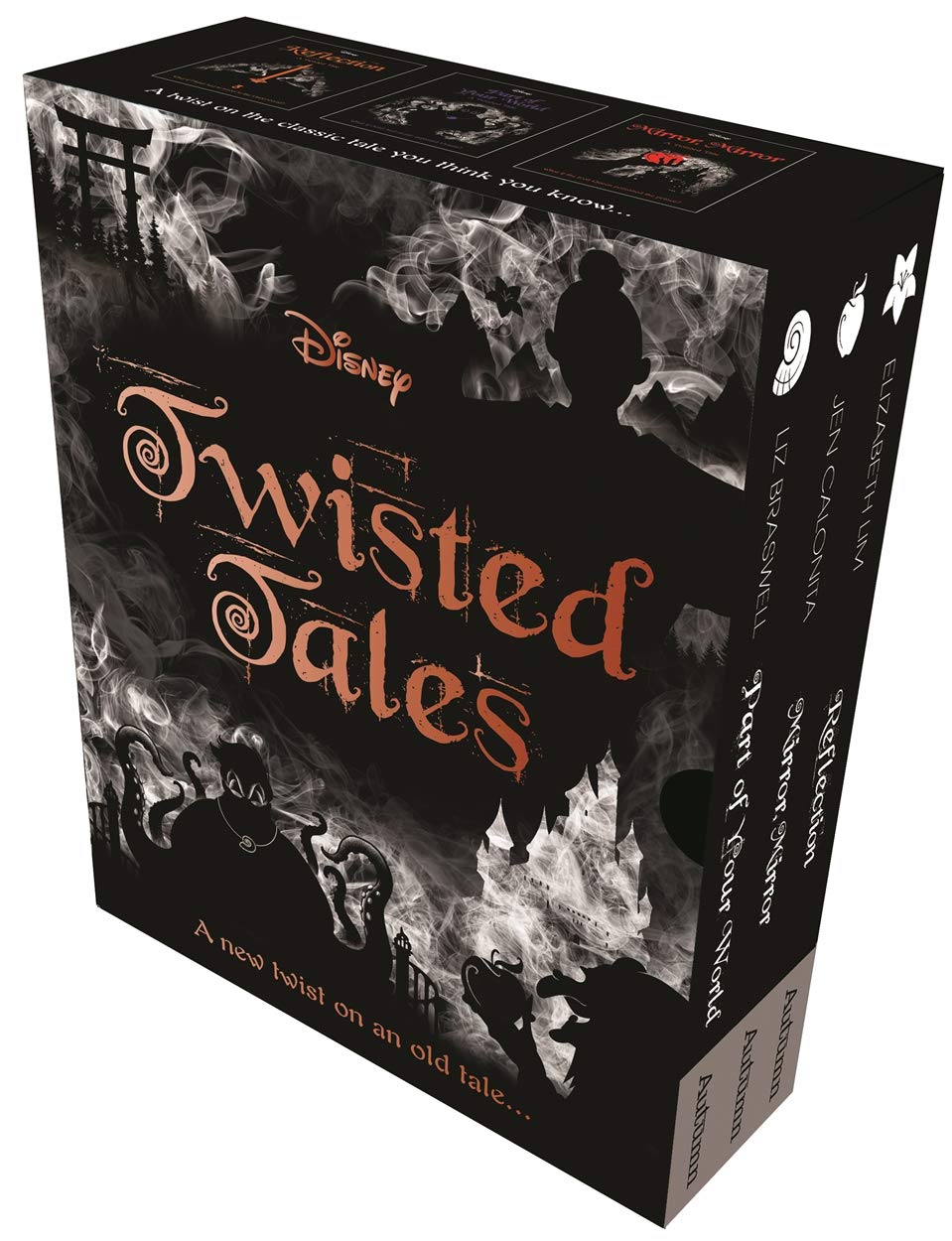 Disney Princess: Twisted Tales (Volume 2) book