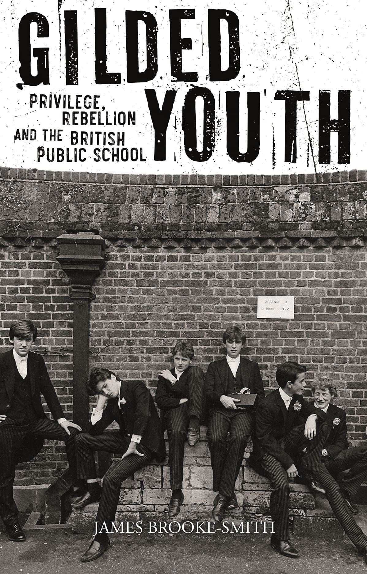 Gilded Youth: Privilege, Rebellion and the British Public School Social Sciences