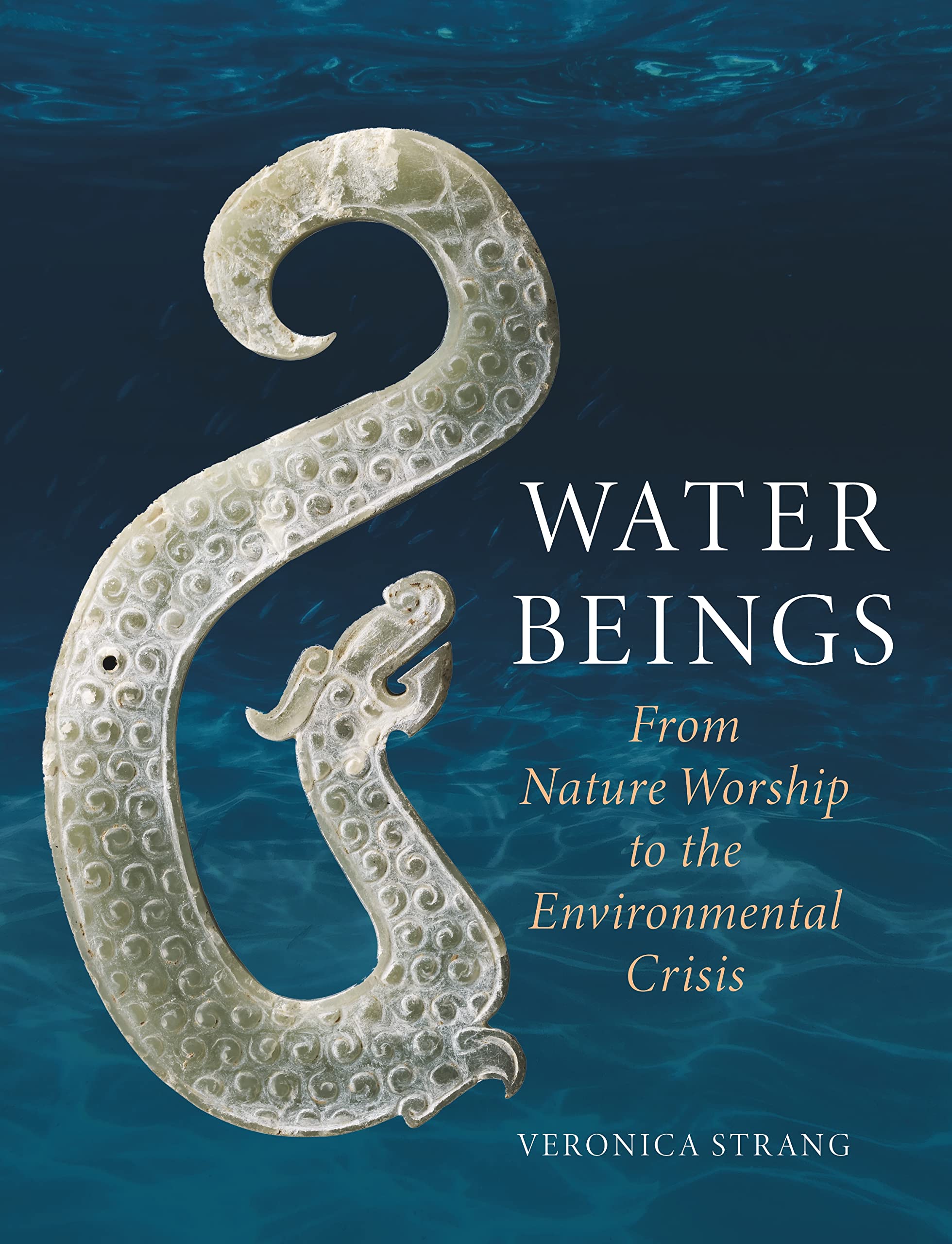Water Beings: From Nature Worship to the Environmental Crisis Social Sciences