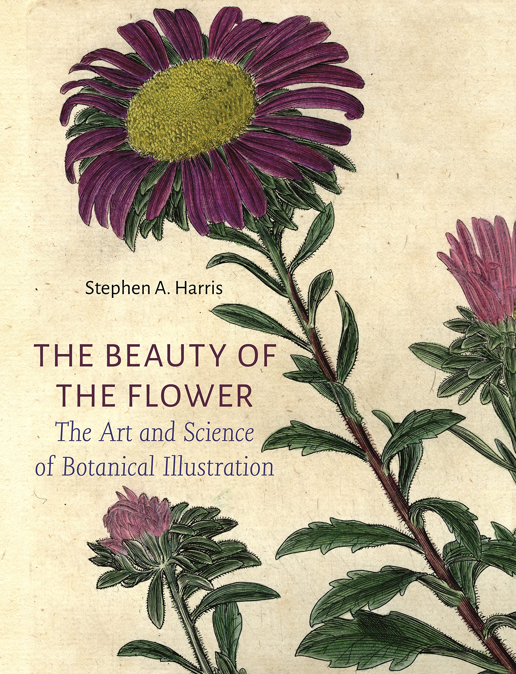 The Beauty of the Flower: The Art and Science of Botanical Illustration Film, Art & Culture