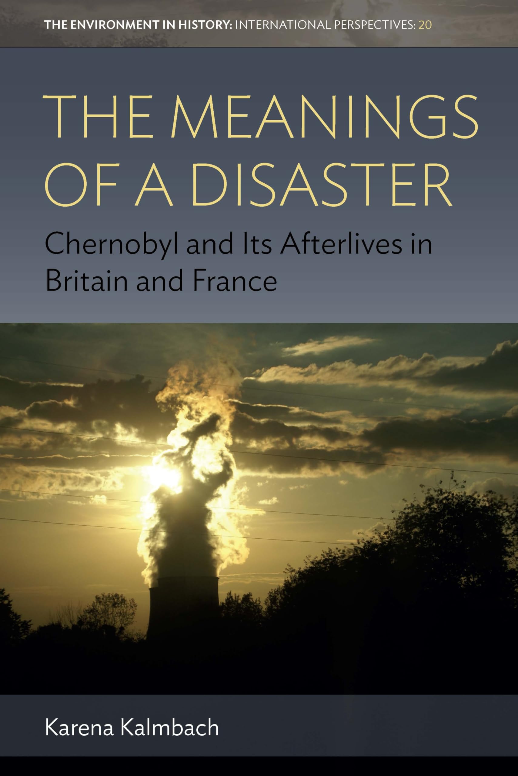 The Meanings of a Disaster: Chernobyl and Its Afterlives in Britain and France (Environment in History: International Perspectives, Band 20) Social Sciences