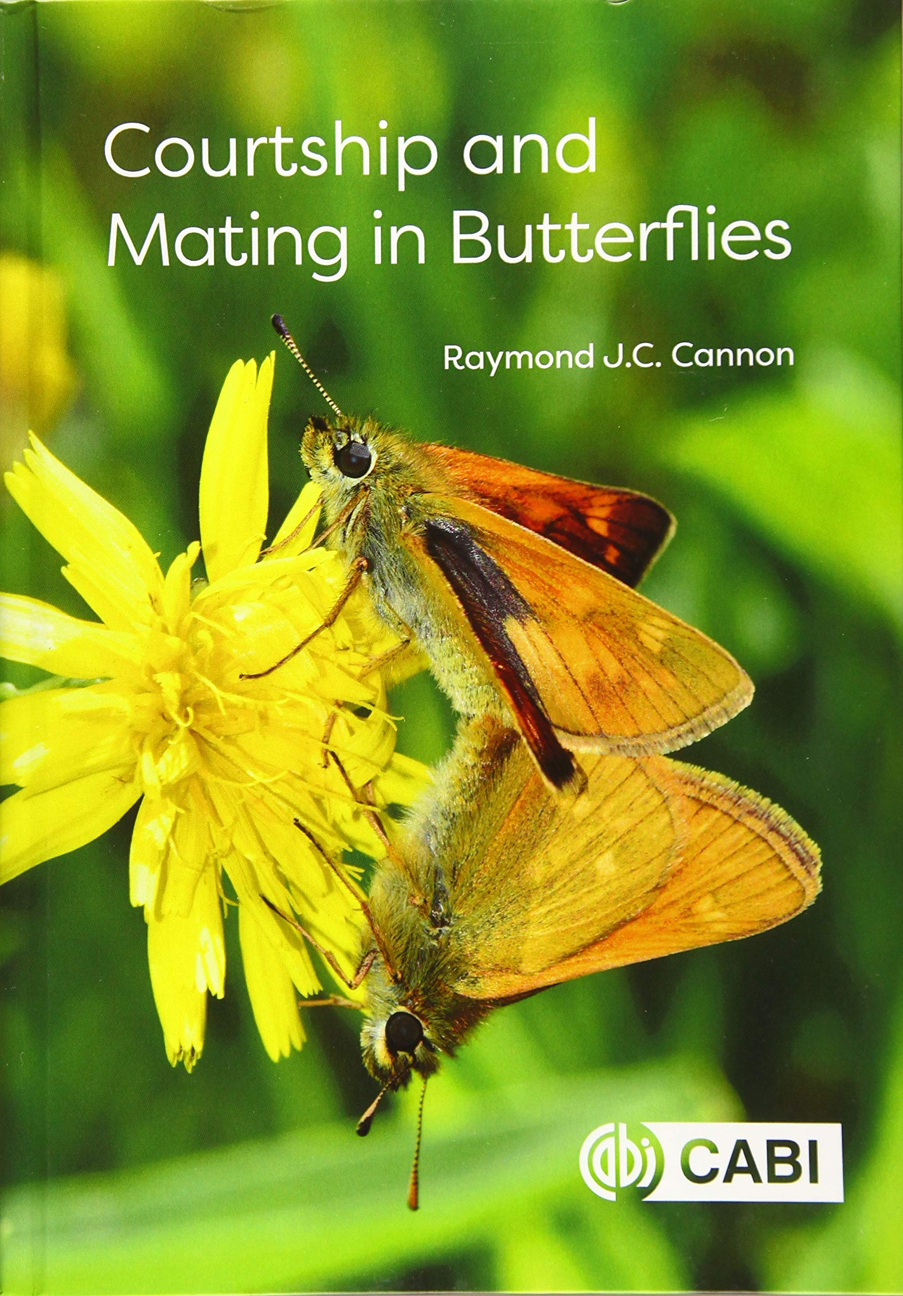 Courtship and Mating in Butterflies Mathematics