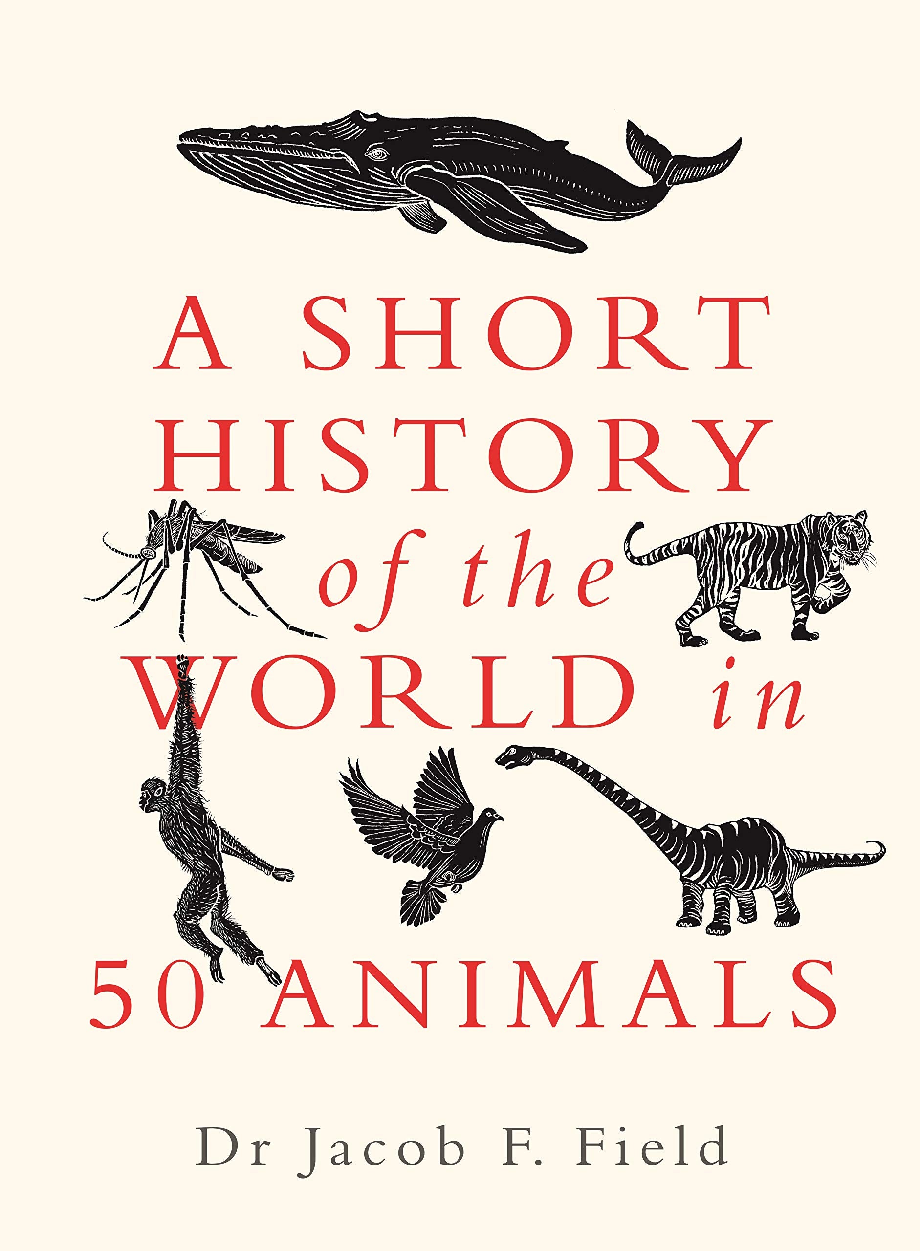 A Short History of the World in 50 Animals Mathematics