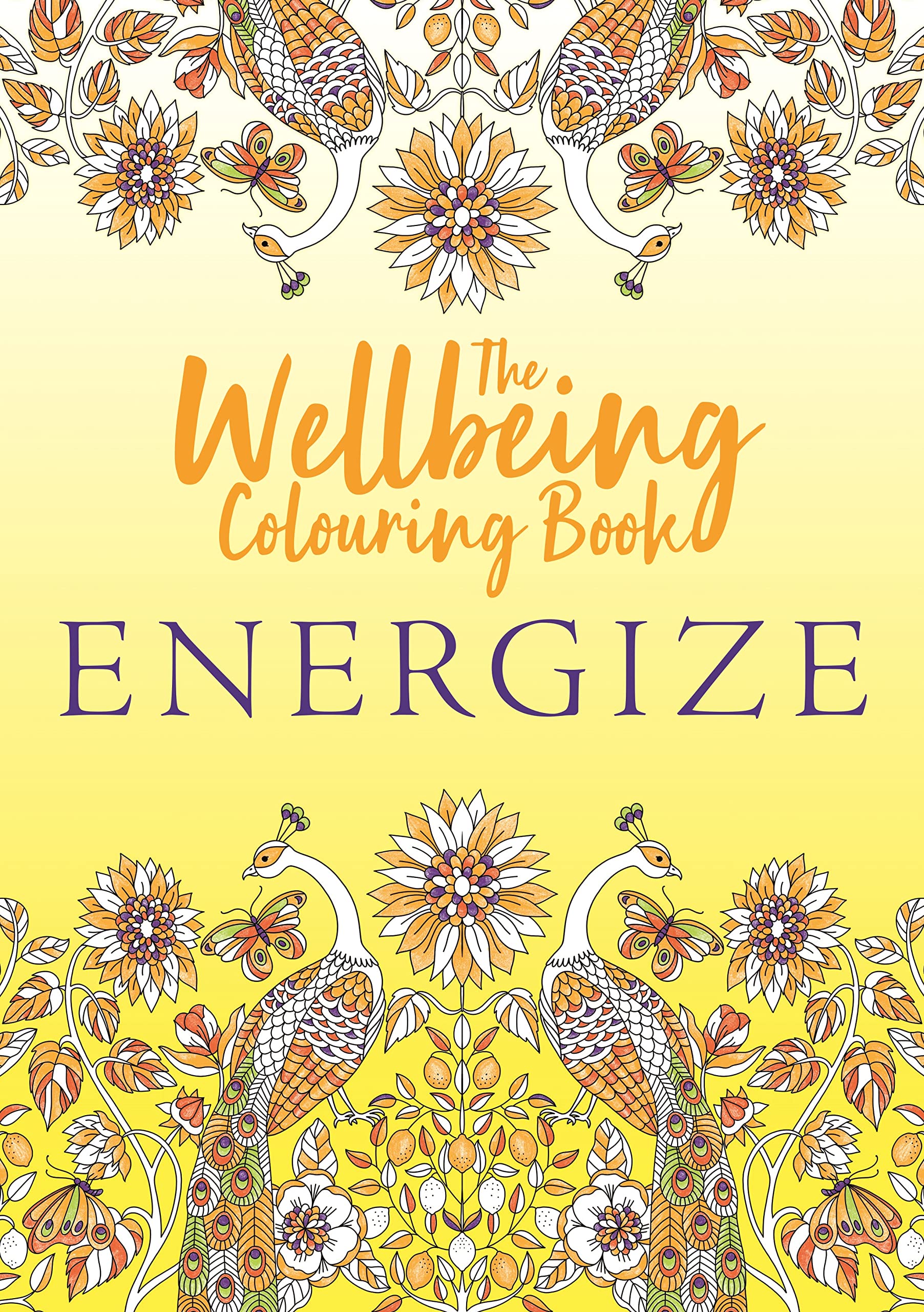 The Wellbeing Colouring Book: Energize Medicine