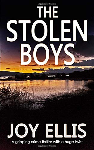 THE STOLEN BOYS a gripping crime thriller with a huge twist (Jackman and Evans detective mysteries, Band 5) Contemporary literature