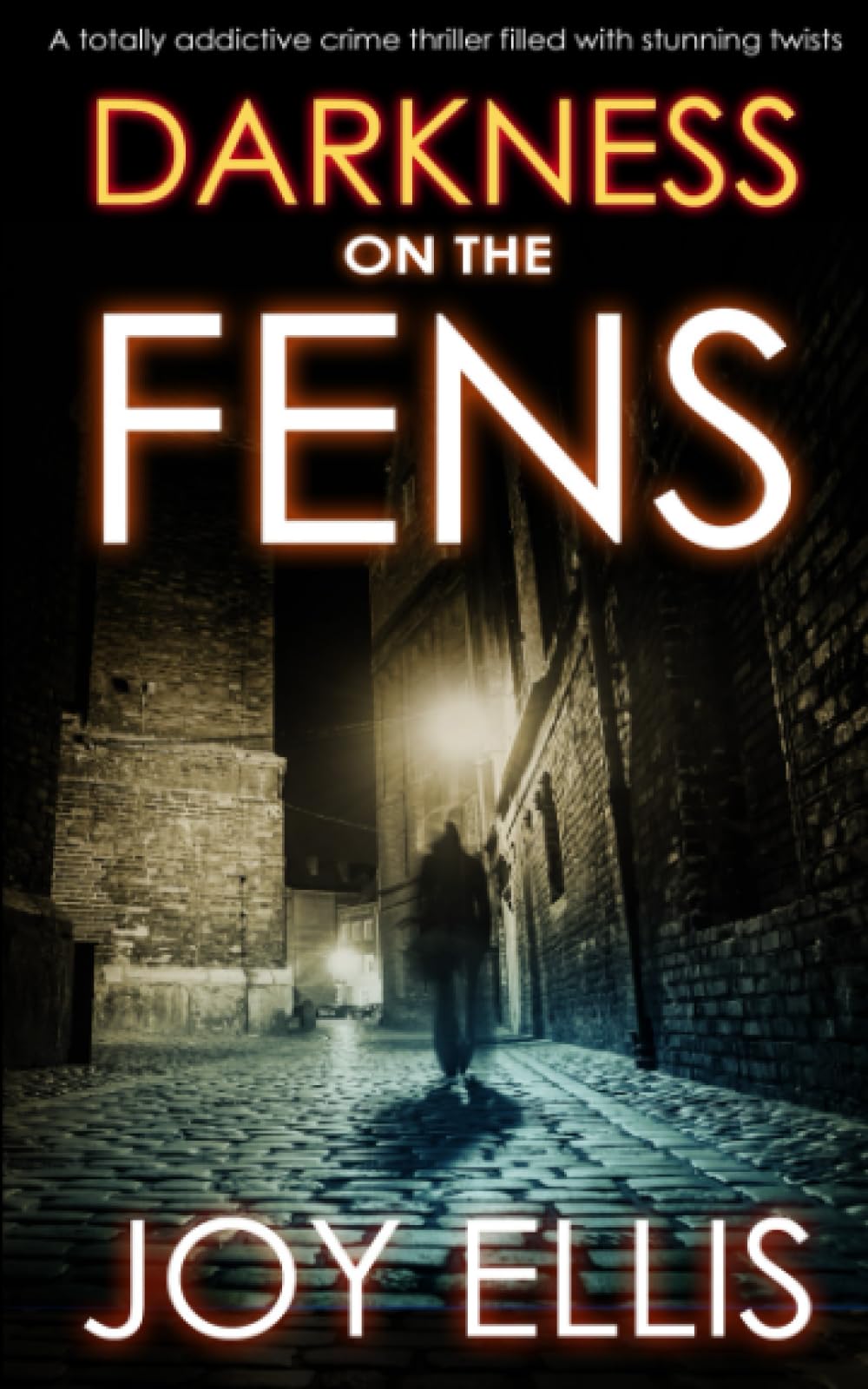 DARKNESS ON THE FENS a totally addictive crime thriller filled with stunning twists (DI Nikki Galena Series, Band 10) Contemporary literature