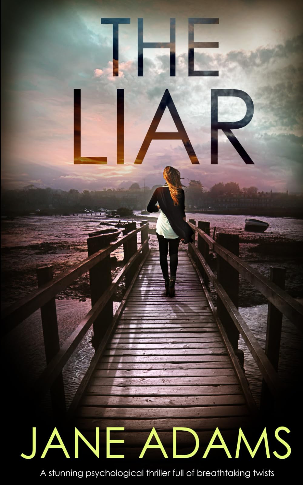 THE LIAR a stunning psychological thriller full of breathtaking twists book