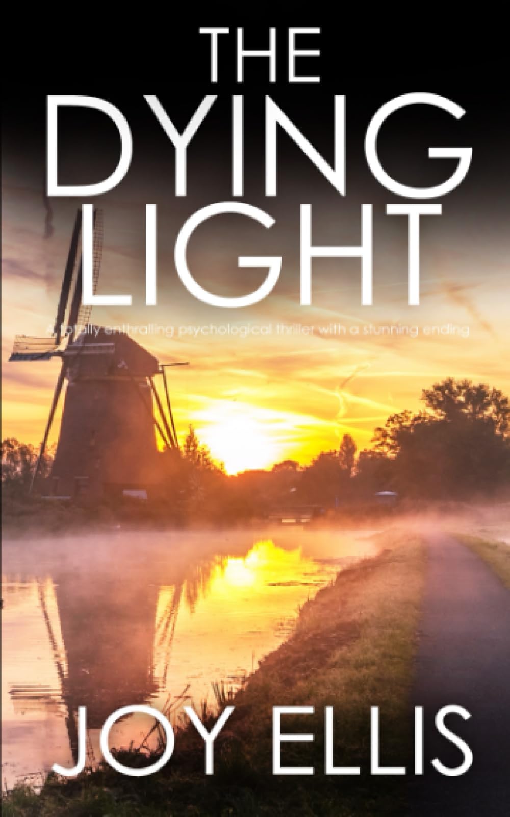 THE DYING LIGHT a totally enthralling psychological thriller with a stunning ending (Detective Matt Ballard Mystery, Band 3) Detective & CSI