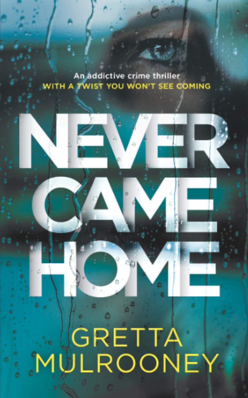 NEVER CAME HOME an addictive crime thriller with a twist you won't see coming (Detective Inspector Siv Drummond Mystery) book