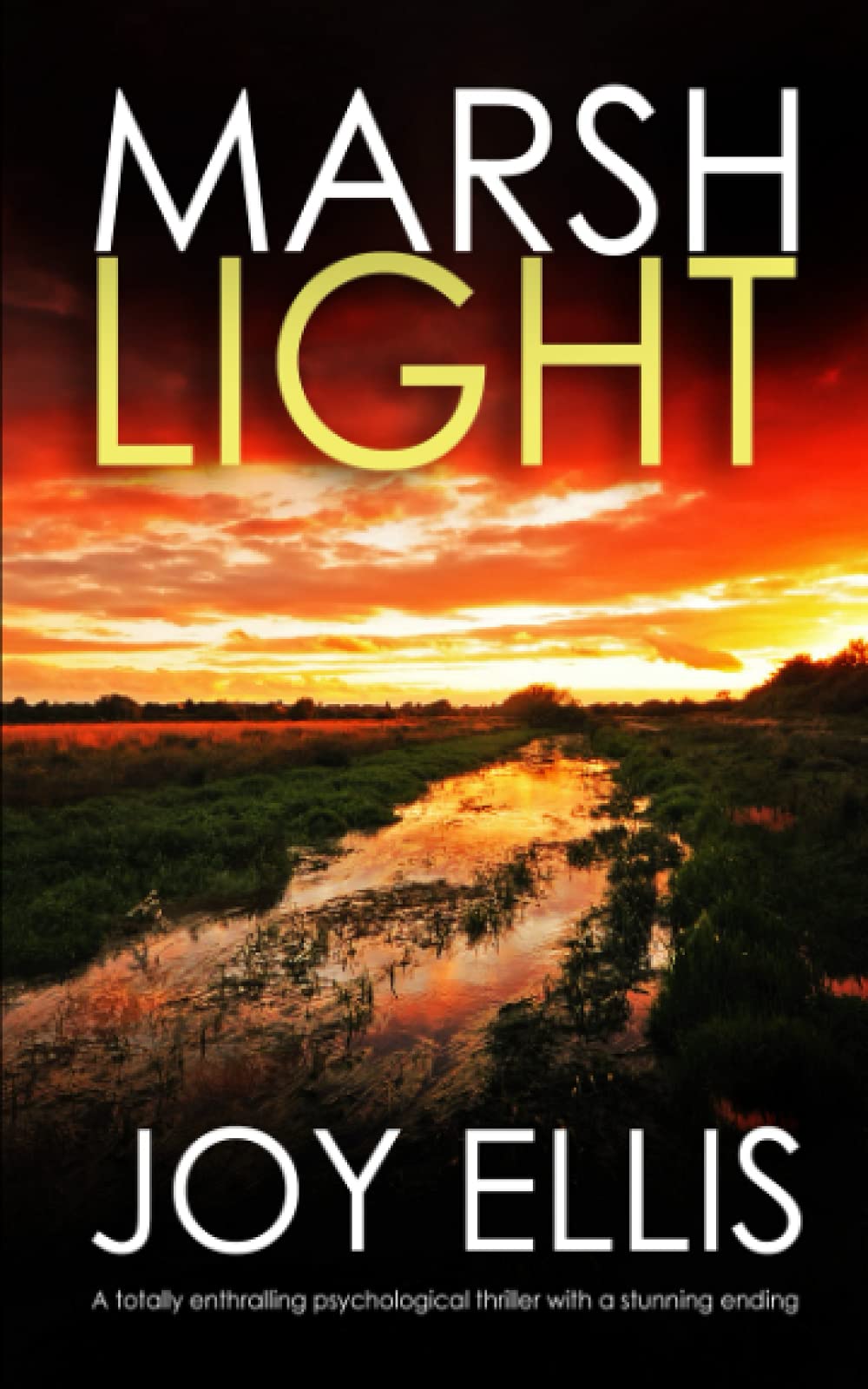 MARSHLIGHT a totally gripping psychological thriller with a stunning twist (Detective Matt Ballard Mystery, Band 4) Detective & CSI