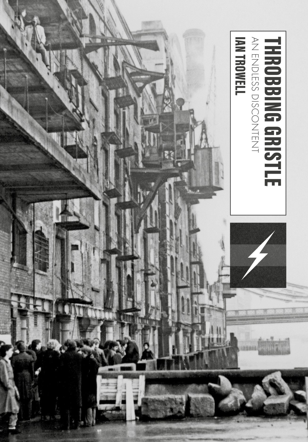 Throbbing Gristle: An Endless Discontent (Global Punk) Social Sciences