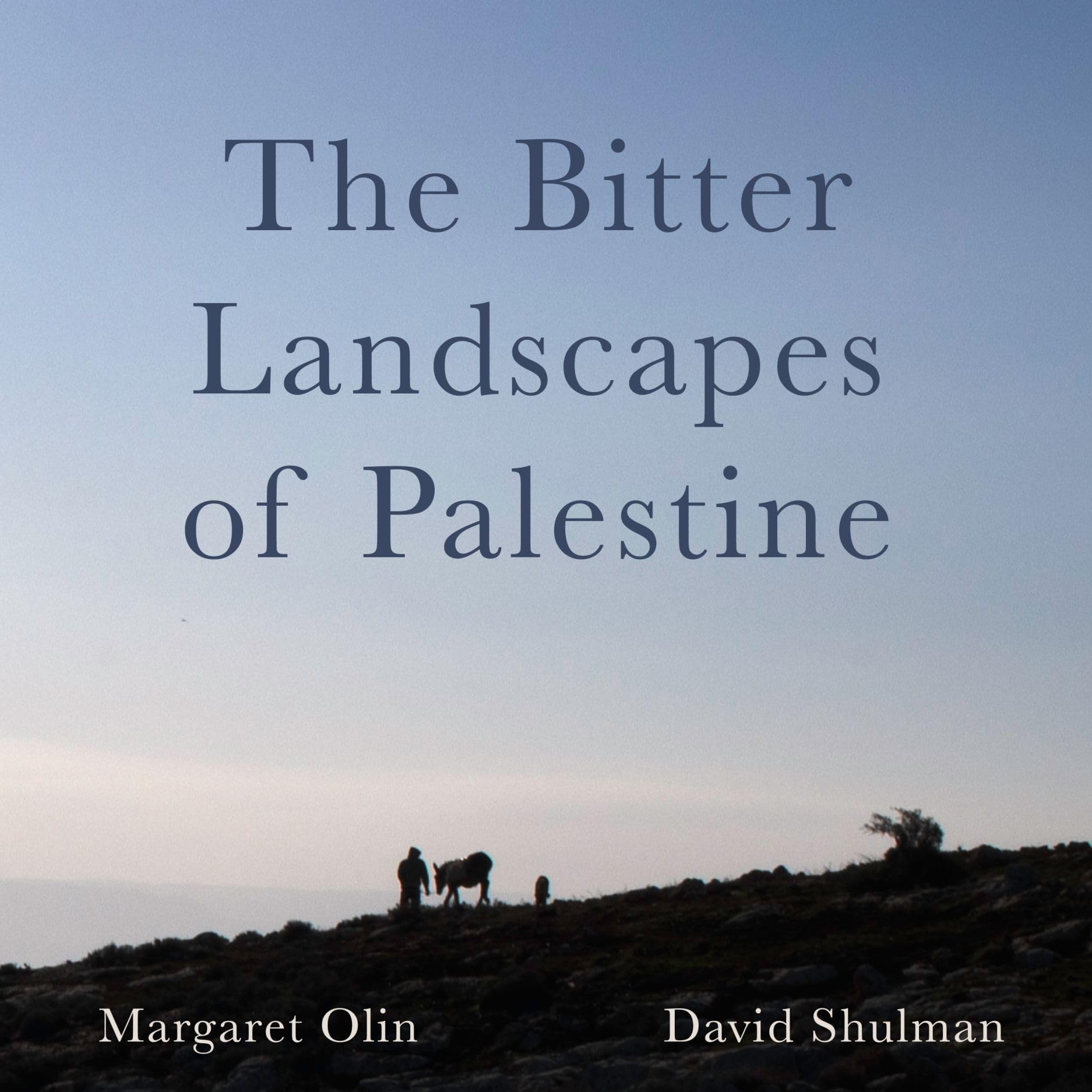 The Bitter Landscapes of Palestine: Can Rocks Feel Pain (Critical Photography) Philosophy