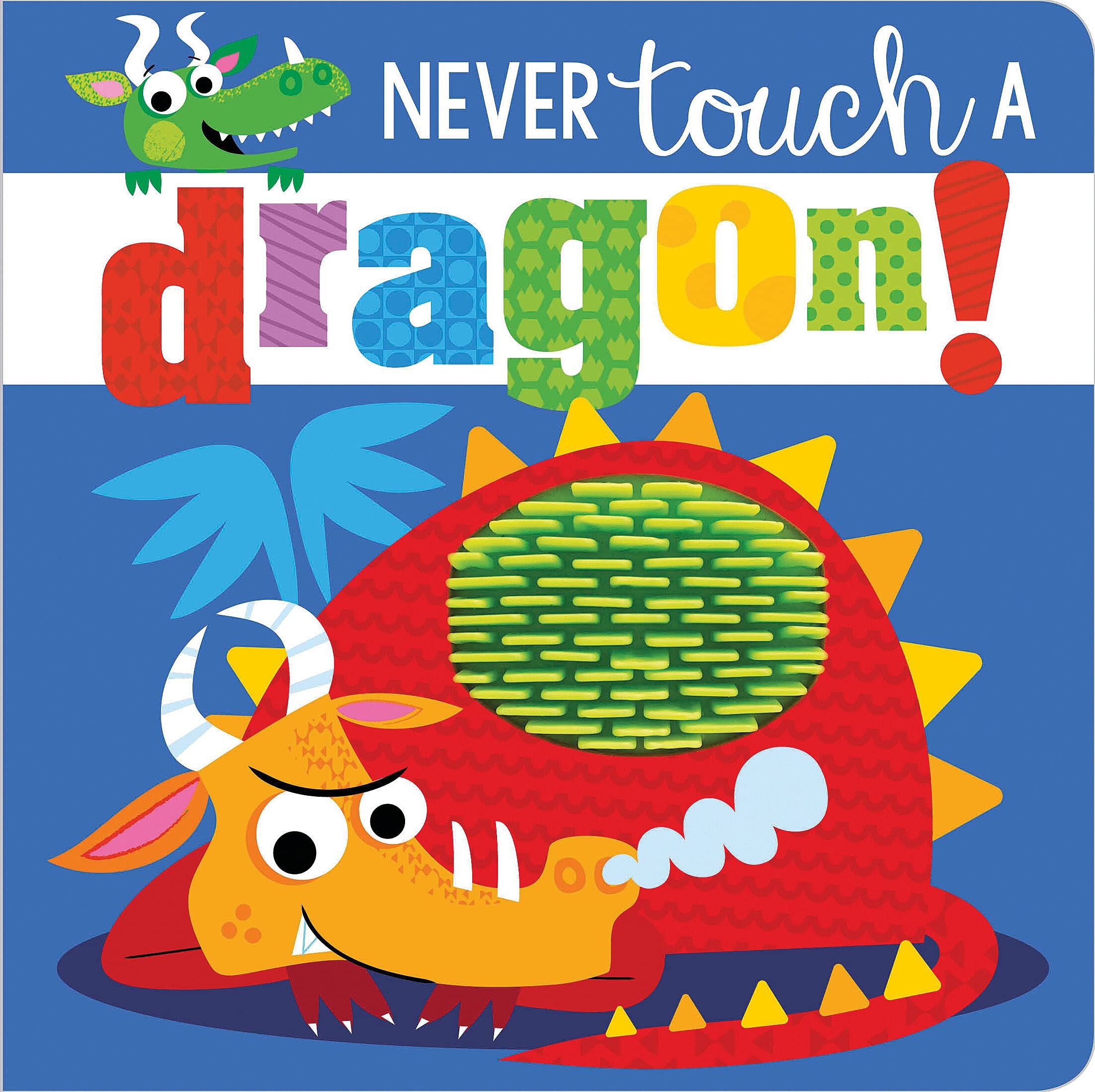 Never Touch a Dragon! book