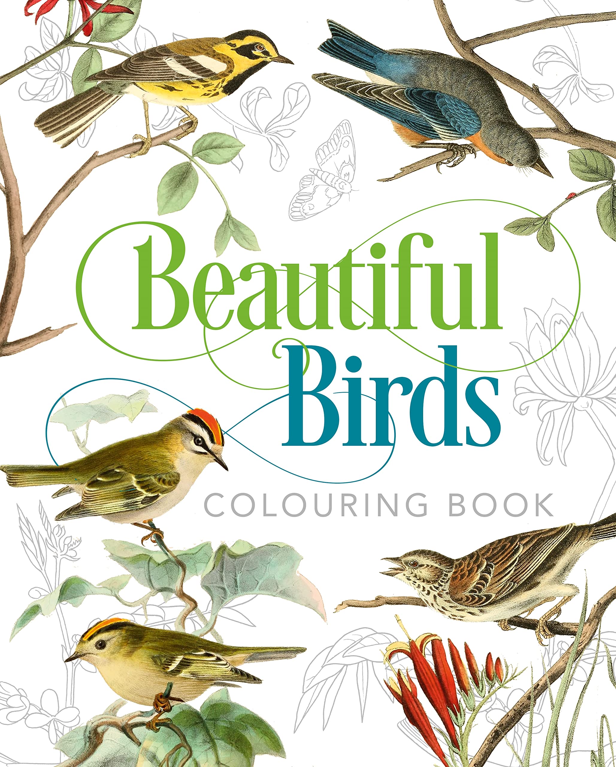 Beautiful Birds Colouring Book (Arcturus Classic Nature Colouring) Mathematics