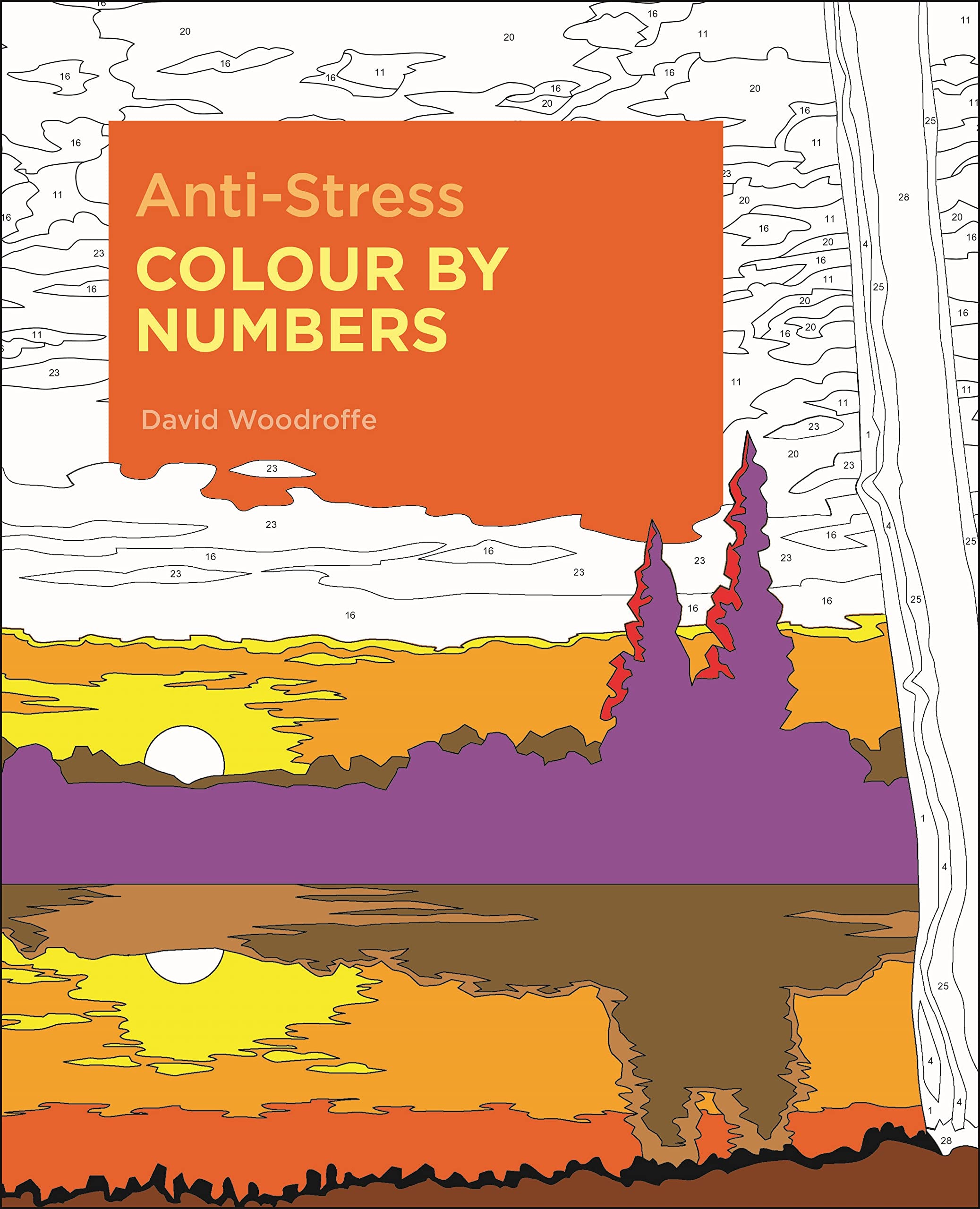 Anti-Stress Colour by Numbers (Arcturus Colour by Numbers Collection) Hobbies & Crafts