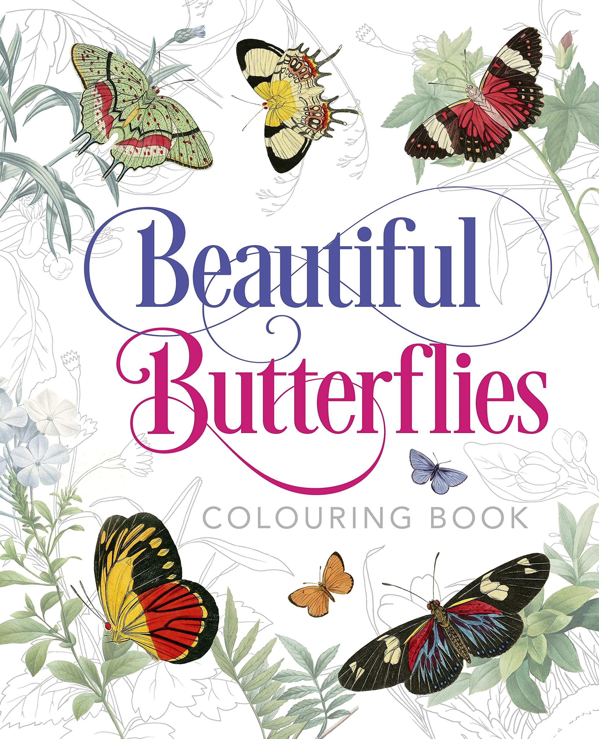 Gray, P: Beautiful Butterflies Colouring Book Mathematics