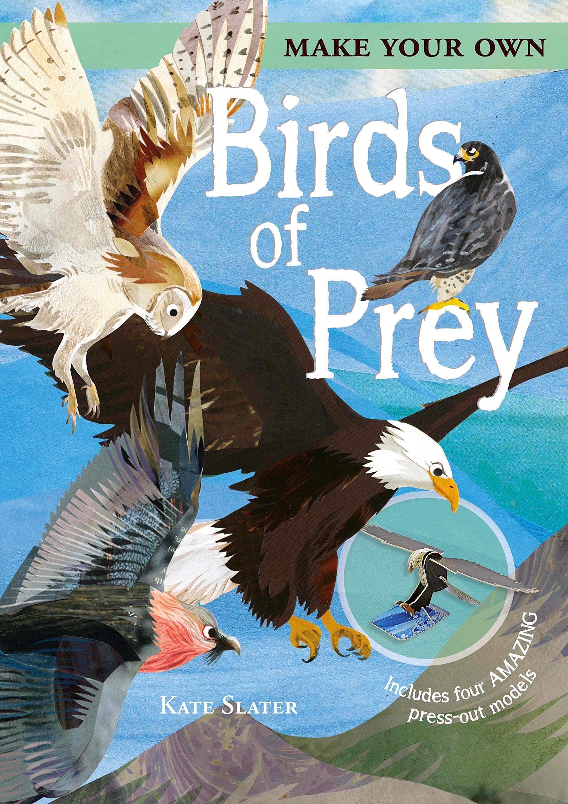 Make Your Own Birds of Prey: Includes Four Amazing Press-out Models Tiptoi & Games
