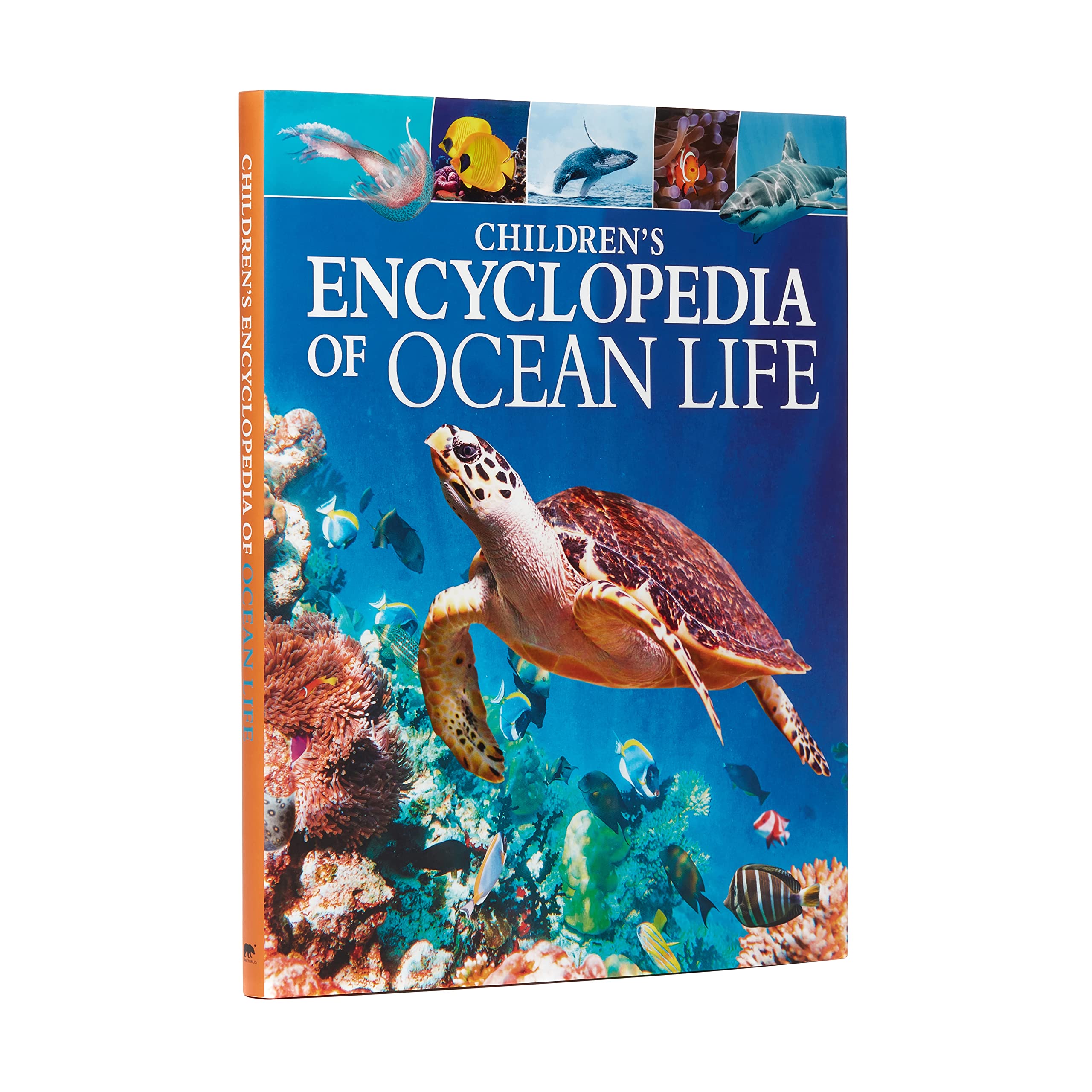 Children's Encyclopedia of Ocean Life: A Deep Dive Into Our World's Oceans (Arcturus Children's Reference Library) Natural Sciences