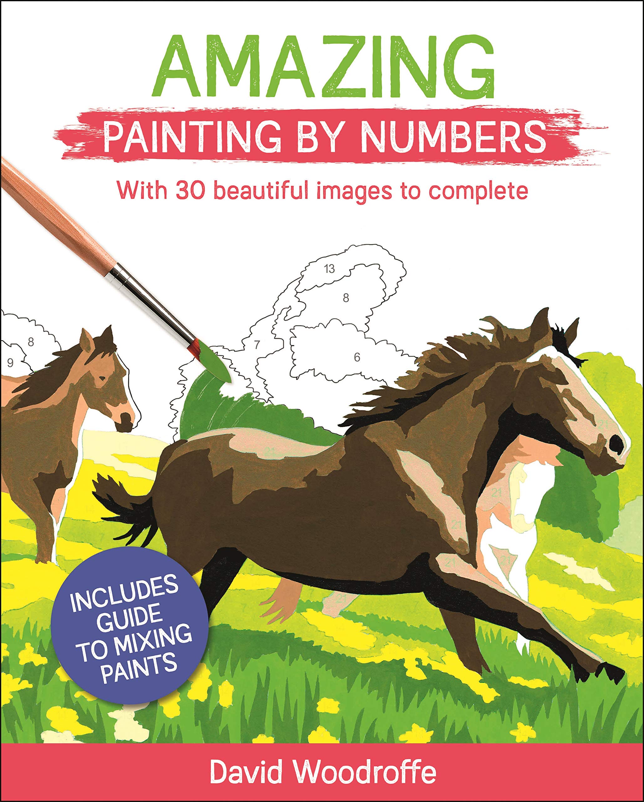 Amazing Painting by Numbers: With 30 Beautiful Images to Complete. Includes Guide to Mixing Paints (Arcturus Painting by Numbers) Film, Art & Culture