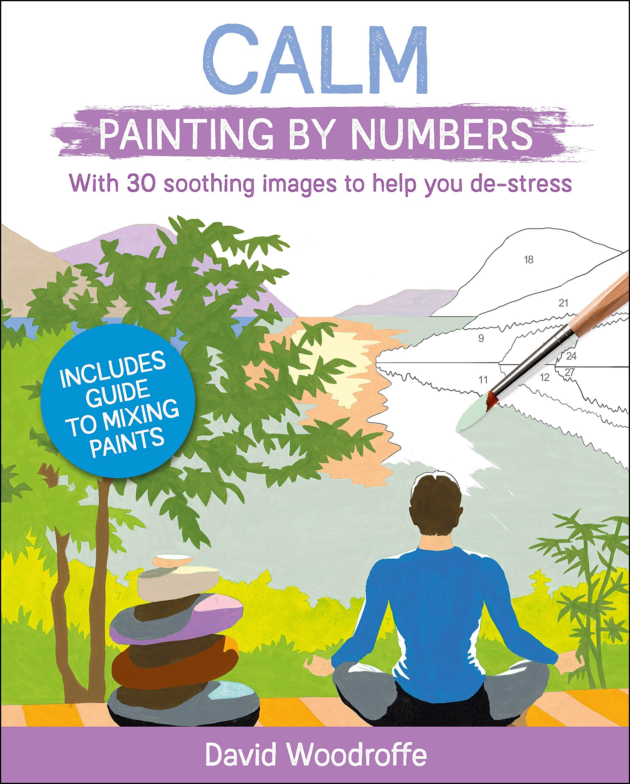 Calm Painting by Numbers: With 30 Soothing Images to Help You De-Stress. Includes Guide to Mixing Paints (Arcturus Painting by Numbers) Film, Art & Culture