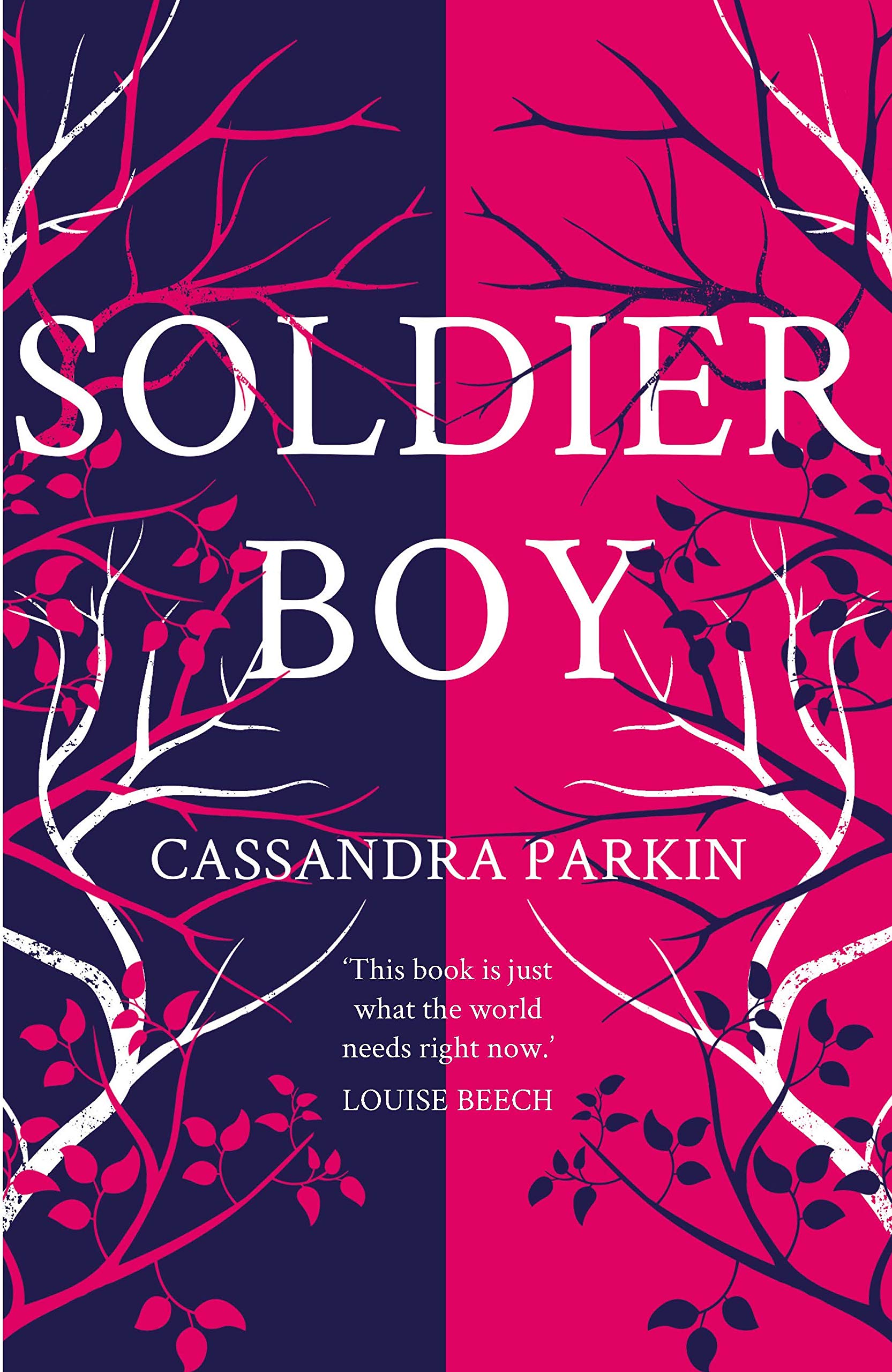Soldier Boy: 'this Book Is Just What the World Needs Right Now' Louise Beech Social Sciences