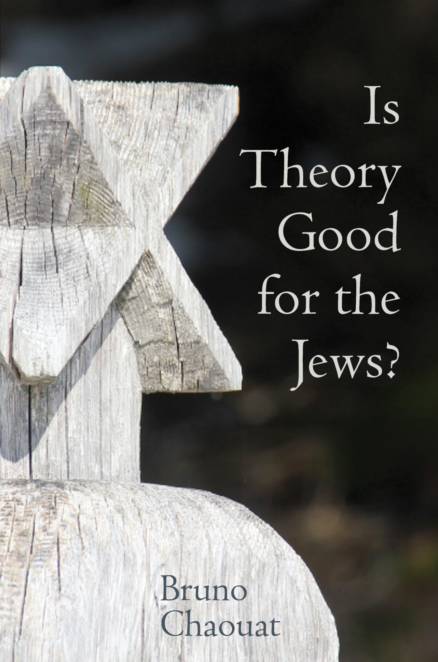 Is Theory Good for the Jews?: French Thought and the Challenge of the New Antisemitism (Contemporary French and Francophone Cultures Lup, Band 43) Philosophy