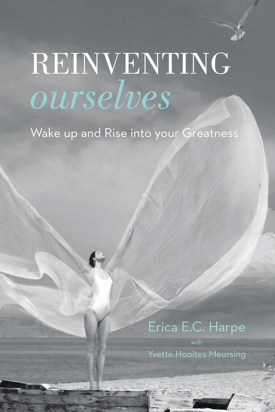 Reinventing Ourselves: Wake up and Rise into your Greatness book