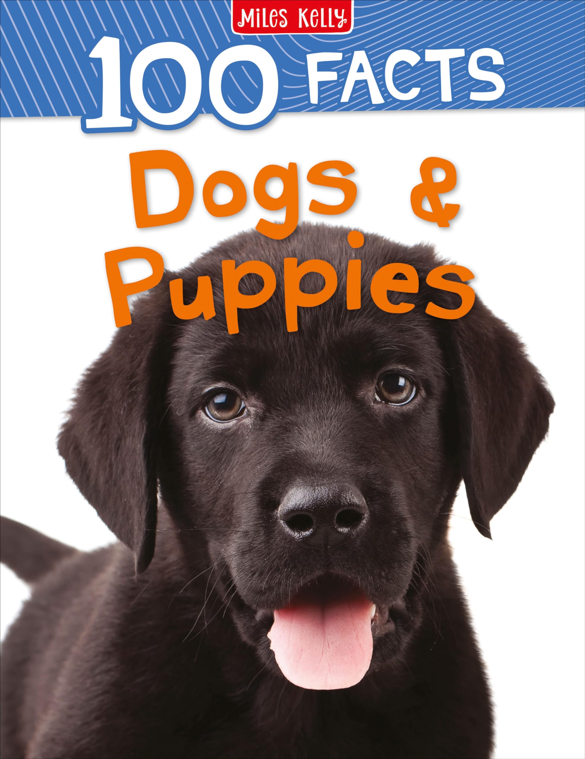 Dogs & Puppies (100 Facts) Tiptoi & Games