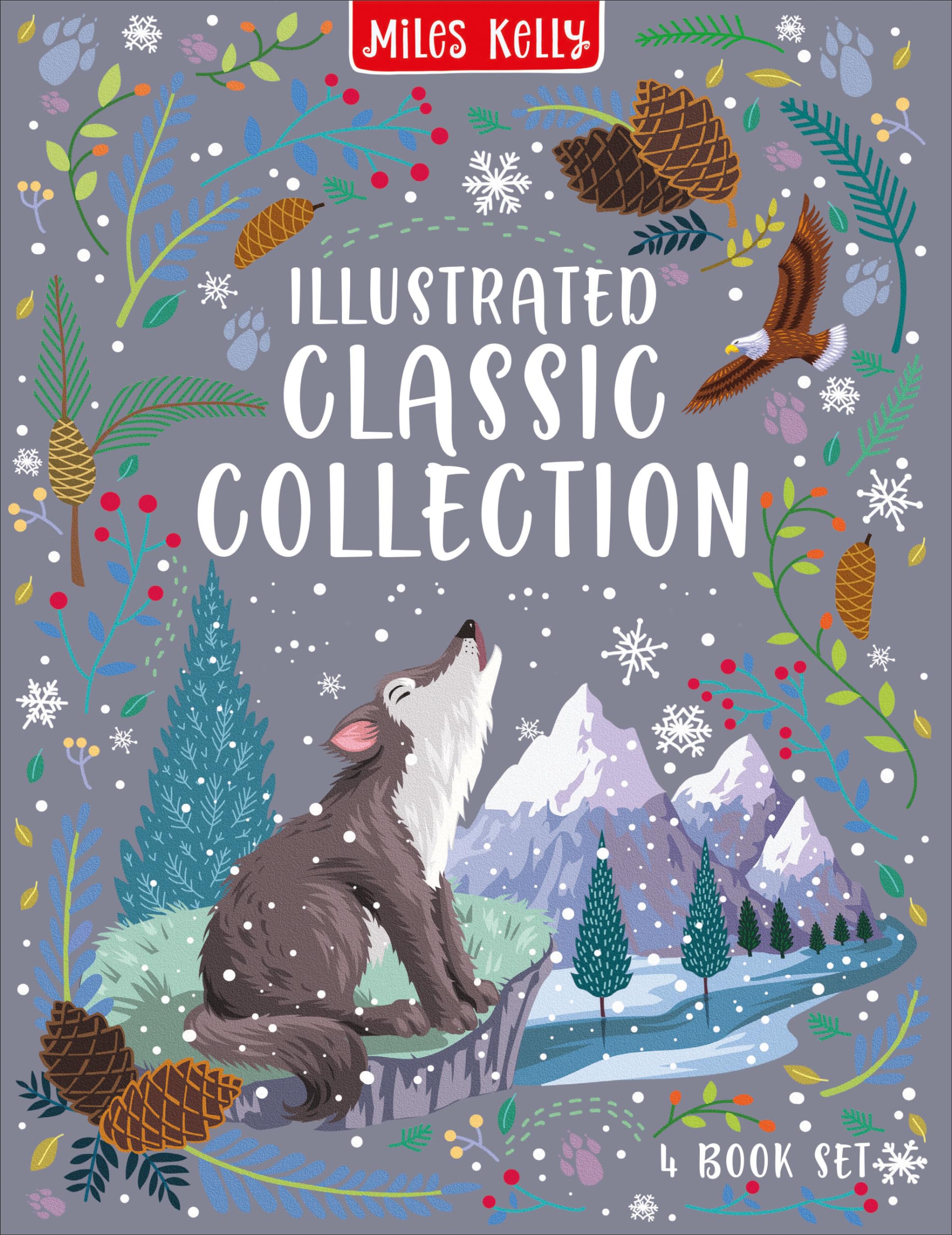 Illustrated Classic Collection Slipcase book