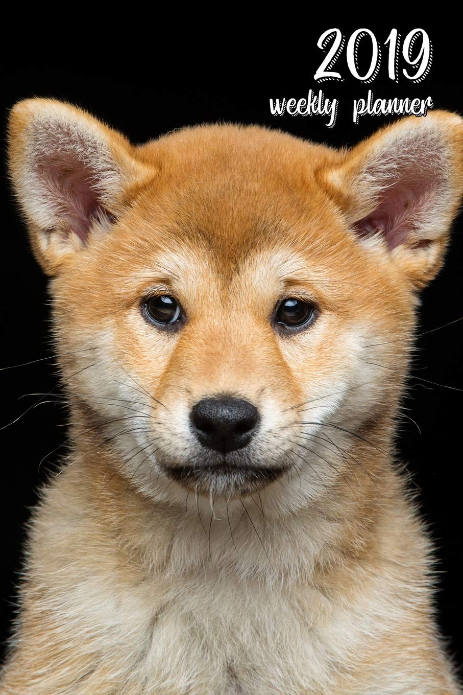 2019 Weekly Planner: 6x9 in. Shiba Inu 52 Weekly Calendar Schedule Organizer Appointment Journal Notebook for Shiba Inu fans Pets