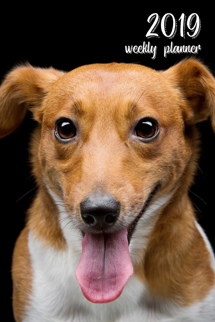 2019 Weekly Planner: 6x9 in. Jack Russell Terrier 52 Weekly Calendar Schedule Organizer Appointment Journal Notebook for Jack Russell fans Pets