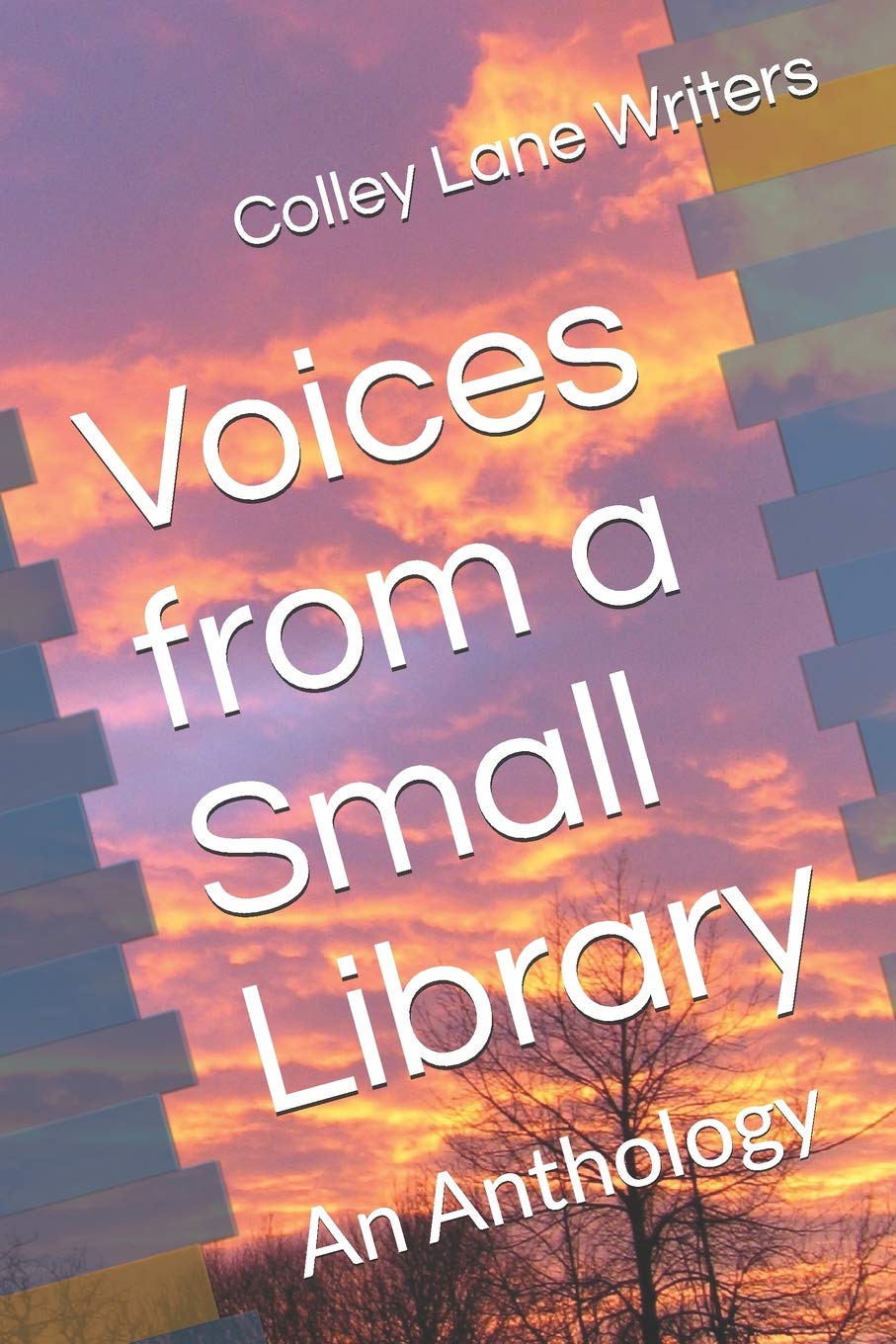 Voices from a Small Library: An Anthology Contemporary literature